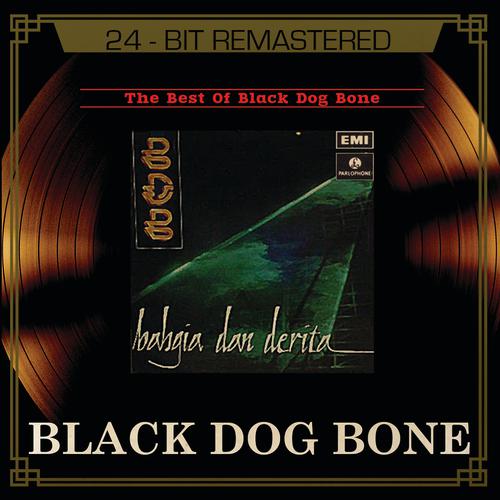 Постер альбома The Best Of Black Dog Bone