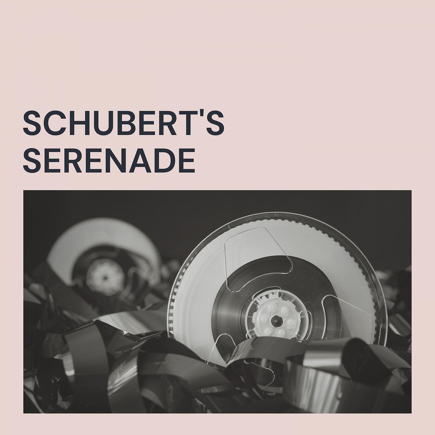 Постер альбома Schubert's Serenade
