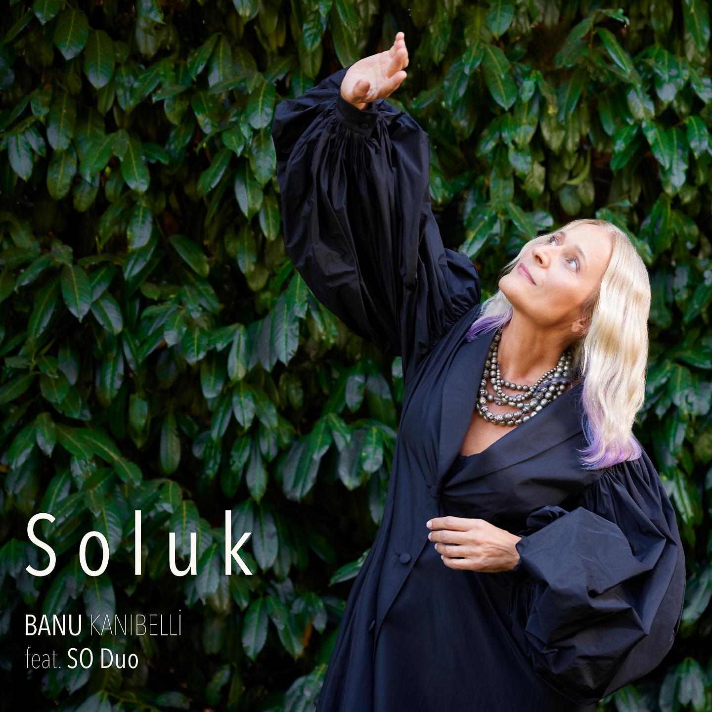 Постер альбома Soluk