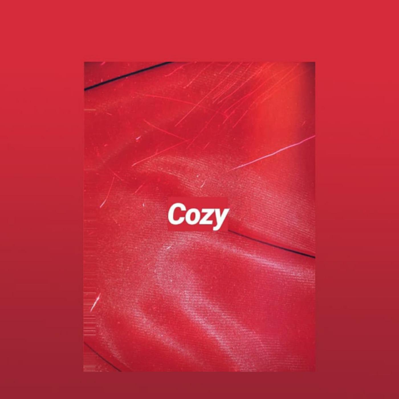 Постер альбома Cozy