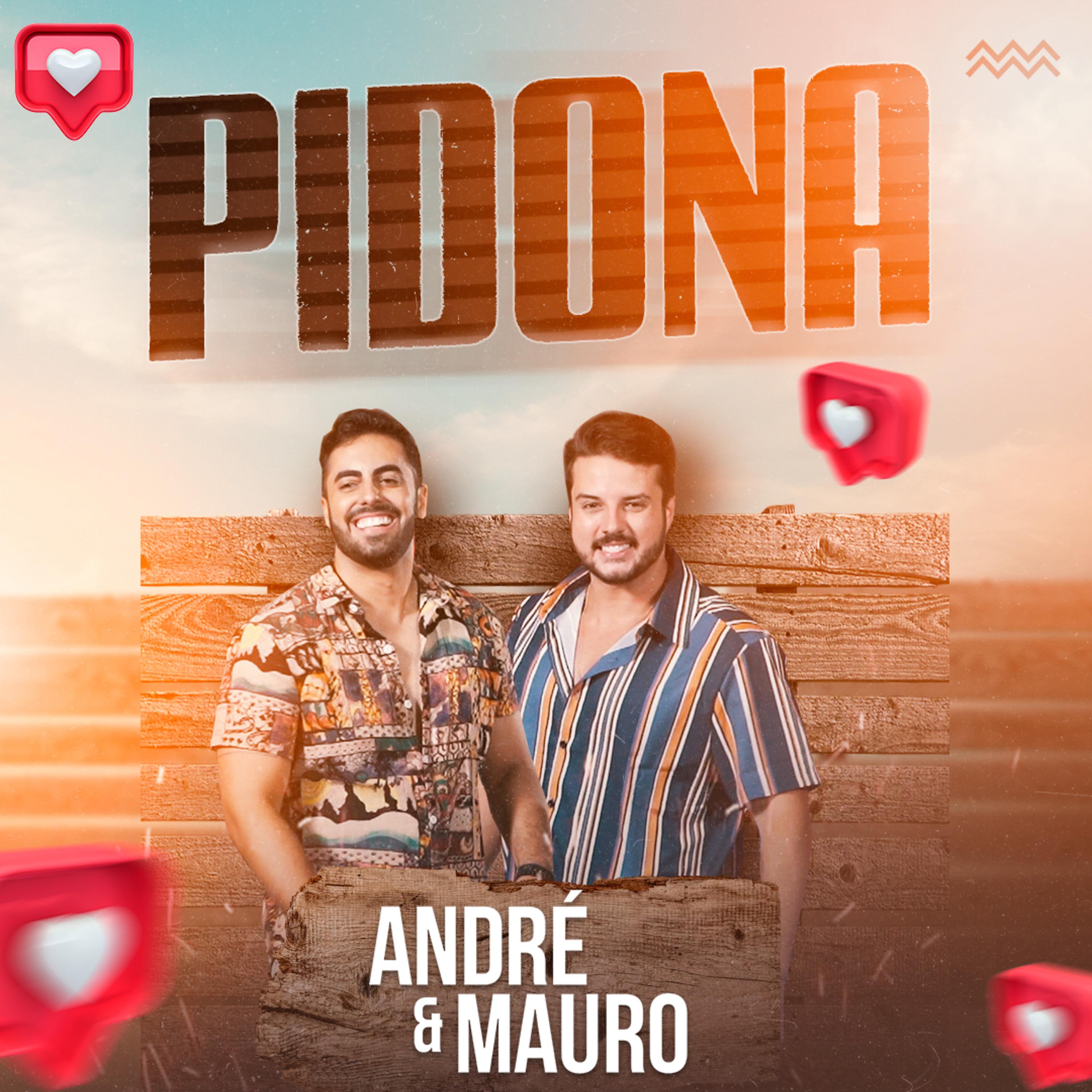 Постер альбома Pidona