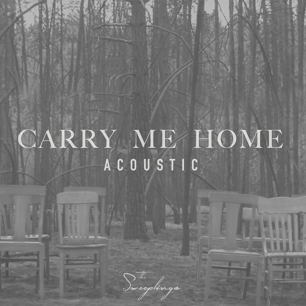 Постер альбома Carry Me Home
