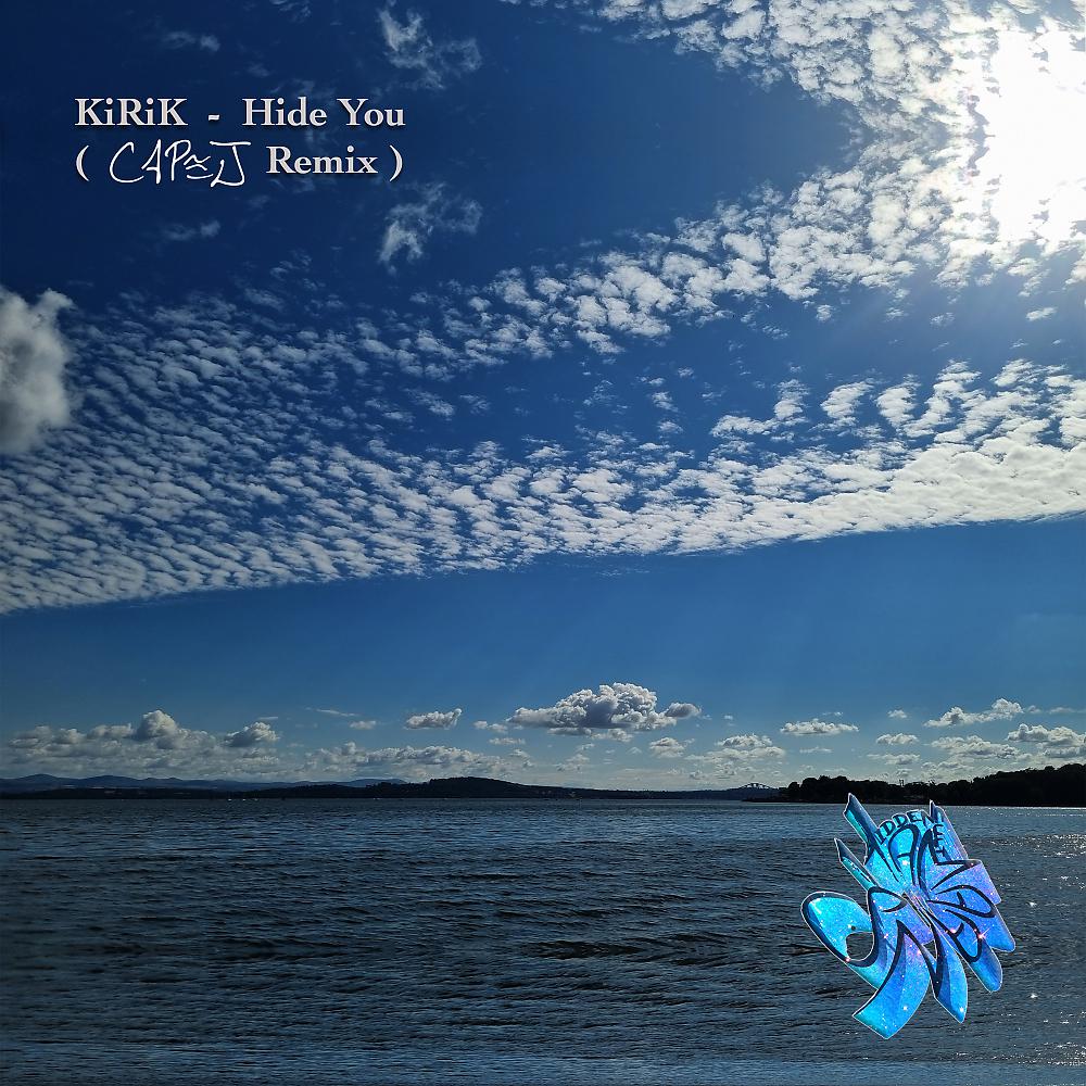 Постер альбома Hide You (Capej Remix)