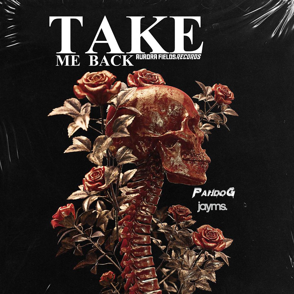 Постер альбома Take me back (Pando G & Jayms)