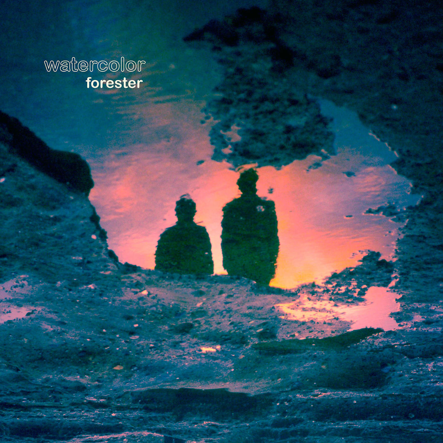 Forester - Saint