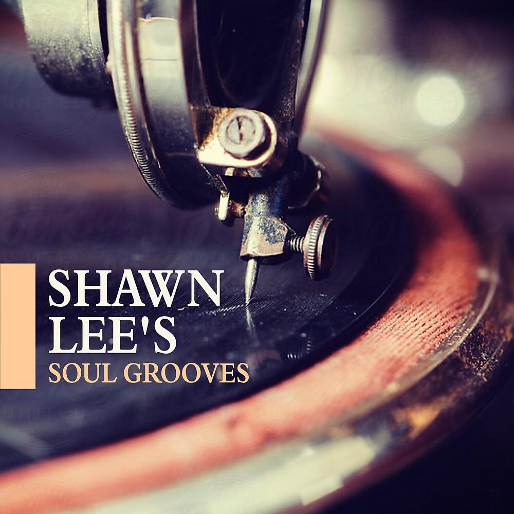 Постер альбома Shawn Lee's Soul Grooves
