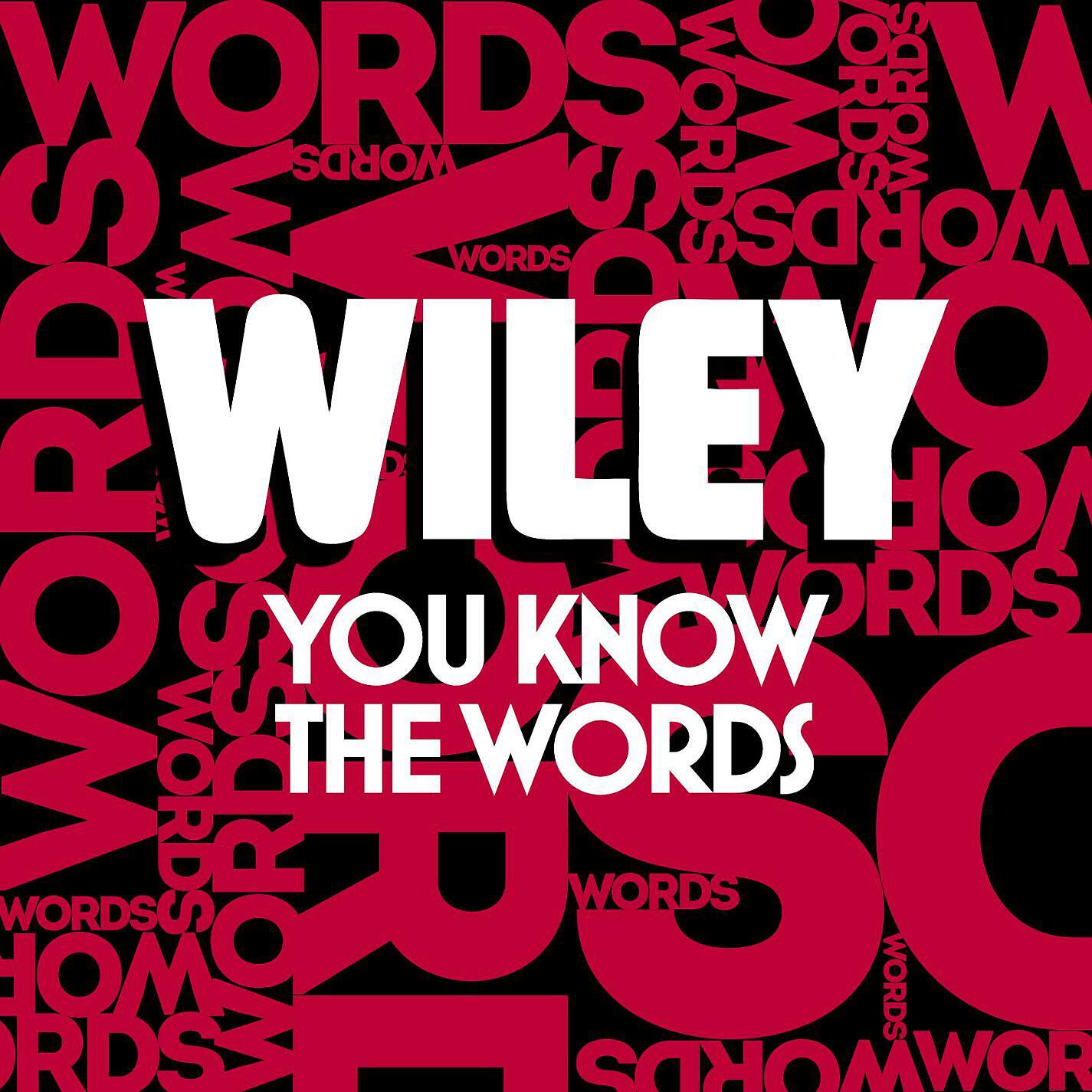 Wiley - You Know the Words