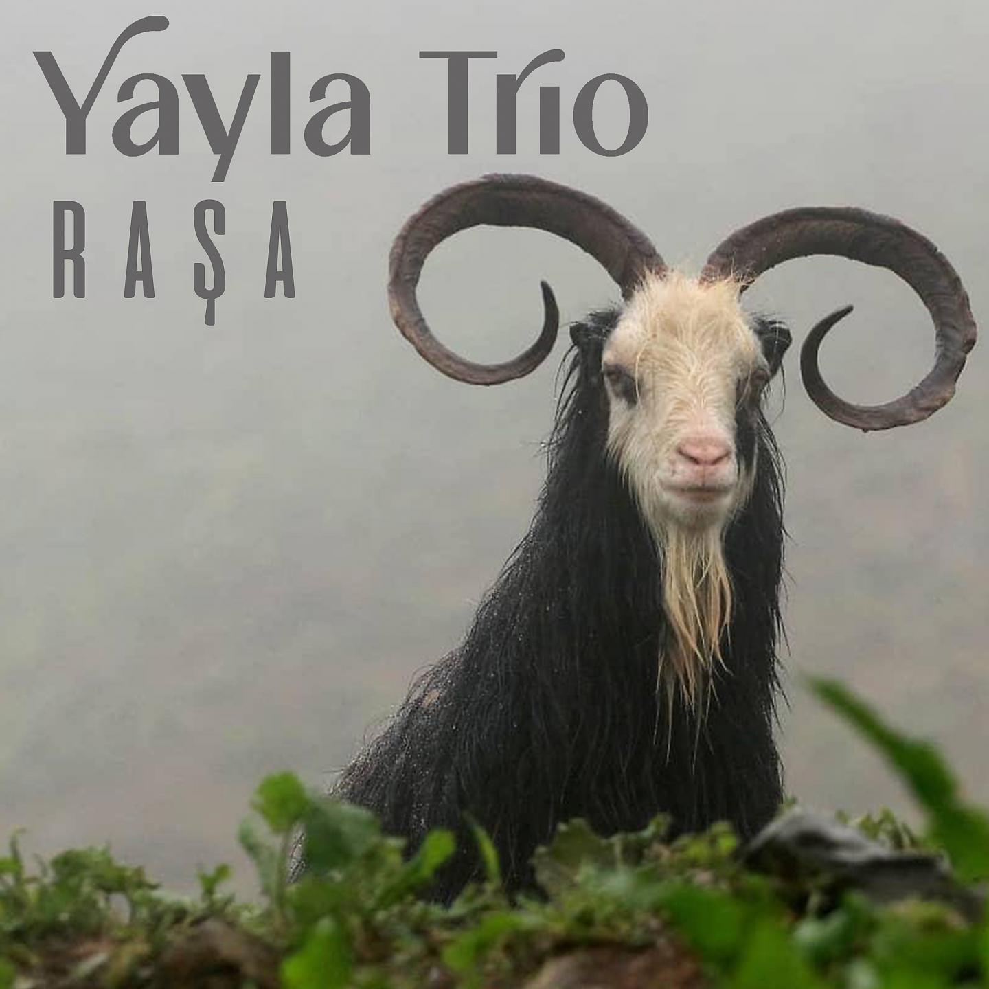 Постер альбома Raşa