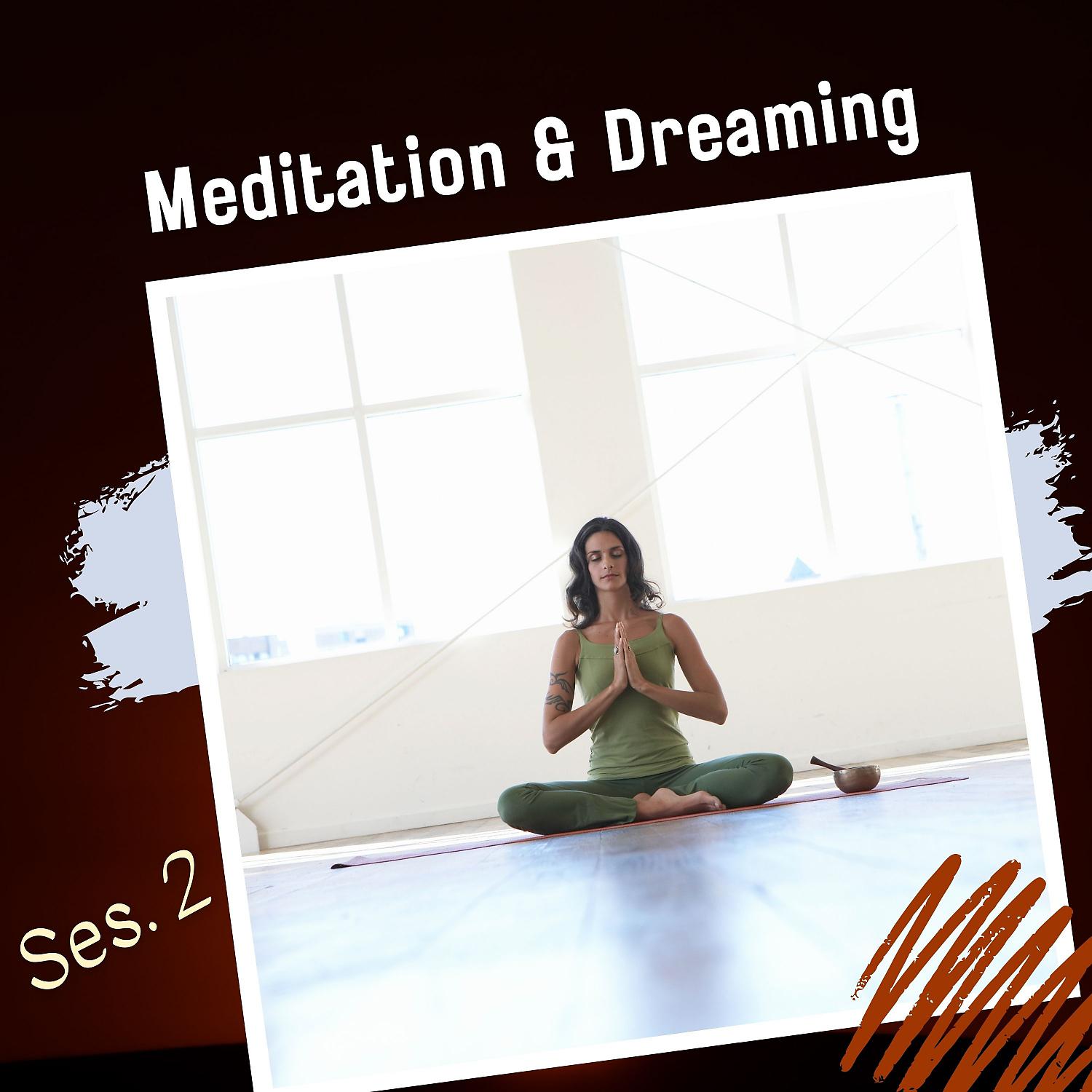Постер альбома Meditation & Dreaming Vol. 2