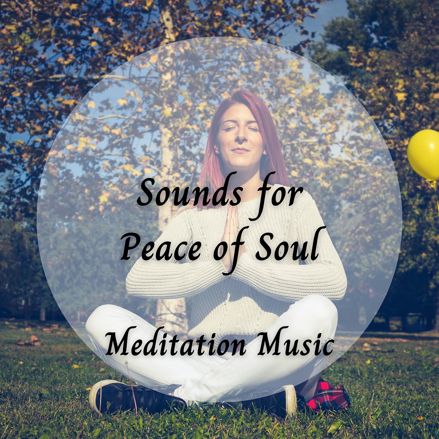 Постер альбома Meditation Music: Sounds for Peace of Soul - 1 Hour