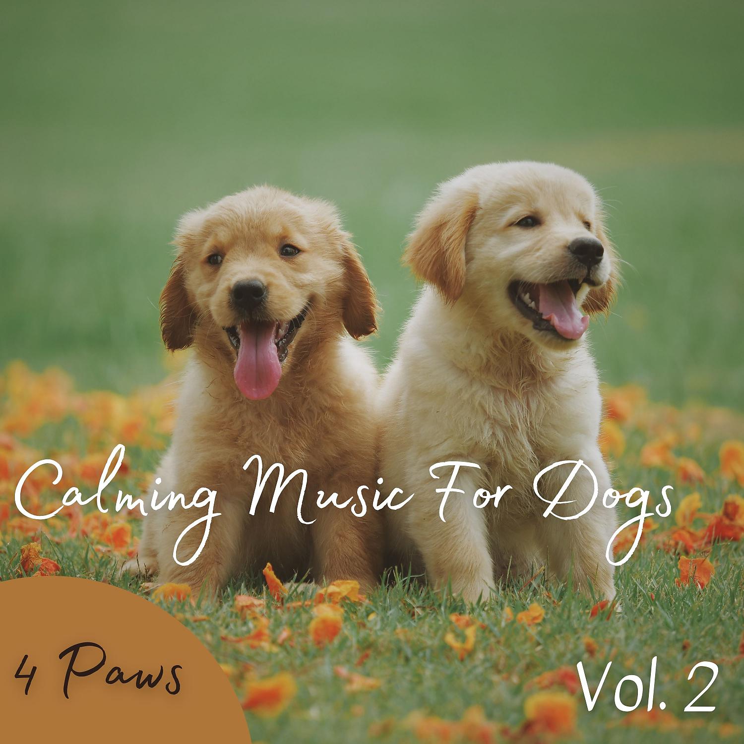 Постер альбома 4 Paws: Calming Music For Dogs Vol. 2
