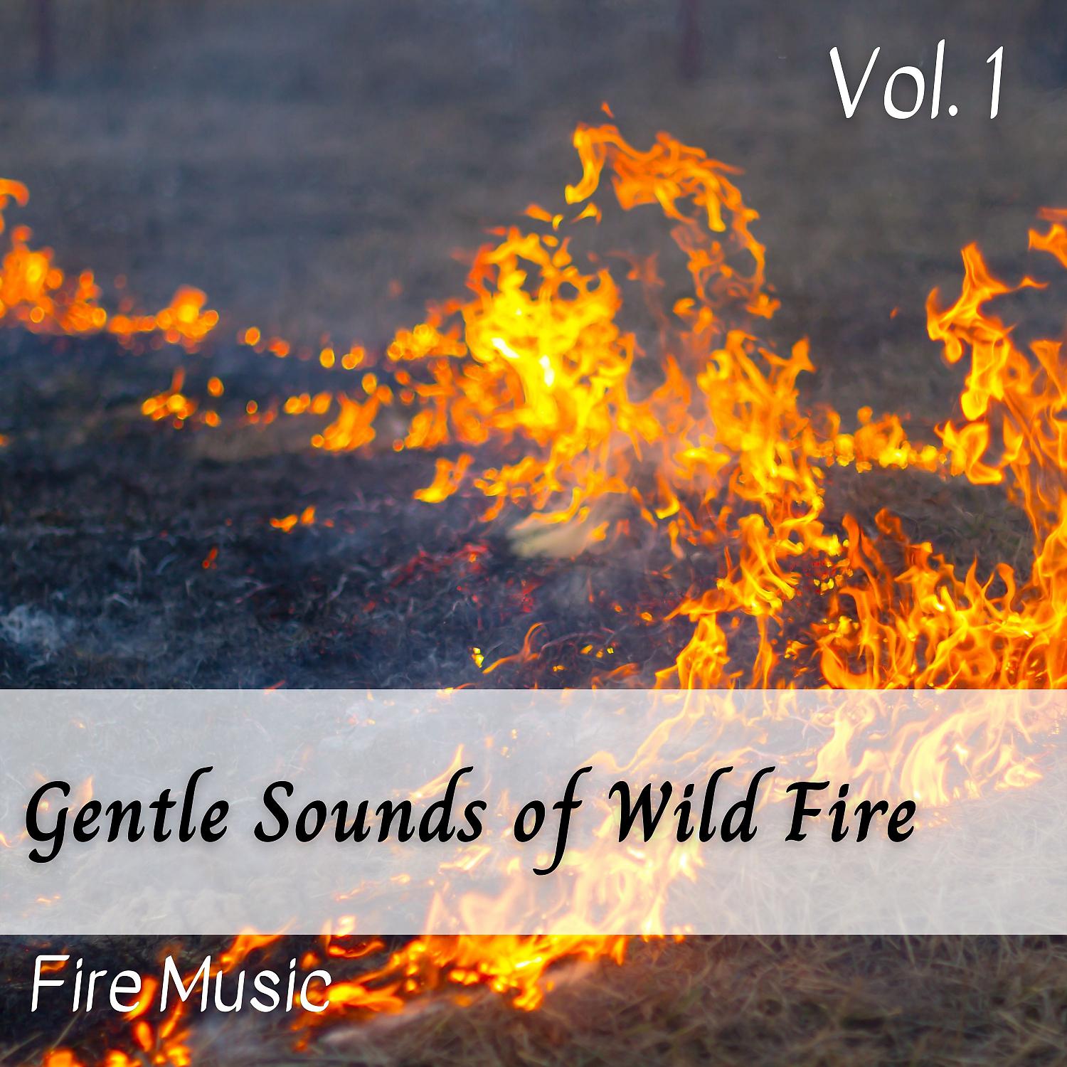 Постер альбома Fire Music: Gentle Sounds of Wild Fire Vol. 1