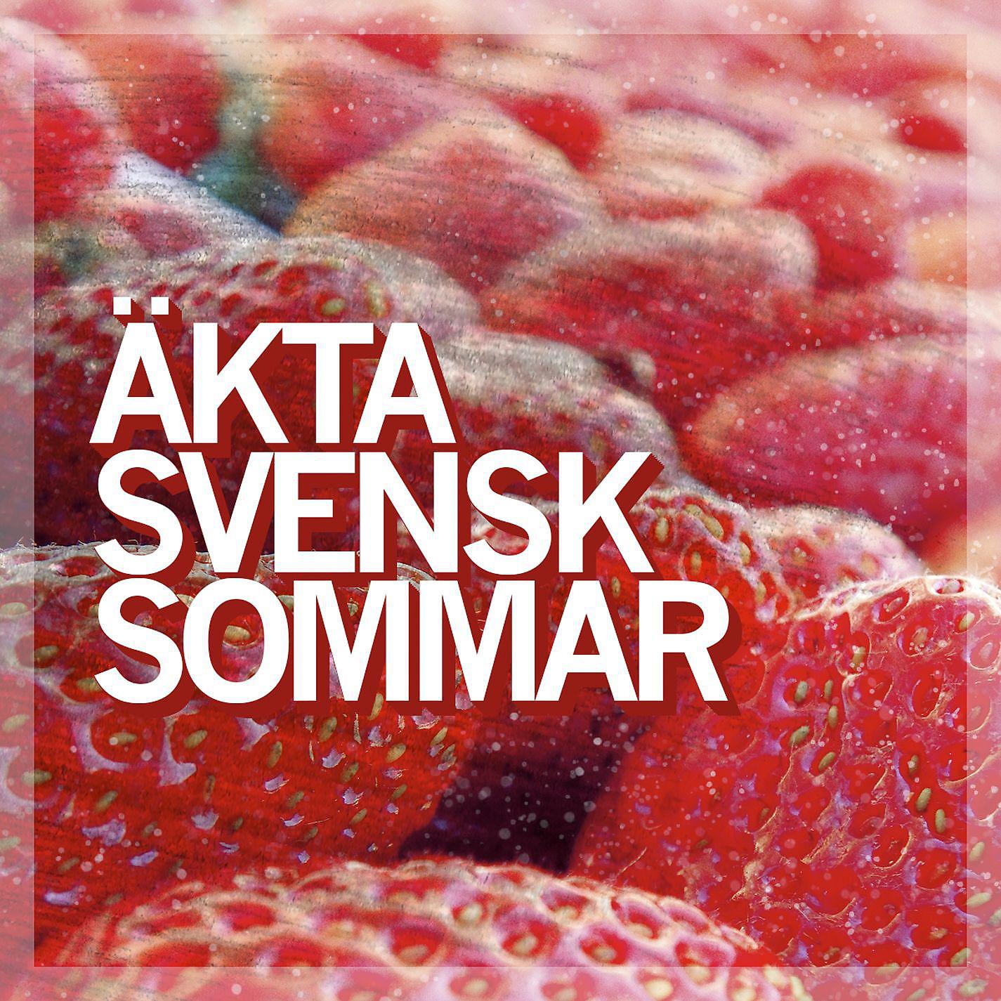 Постер альбома Äkta svensk sommar