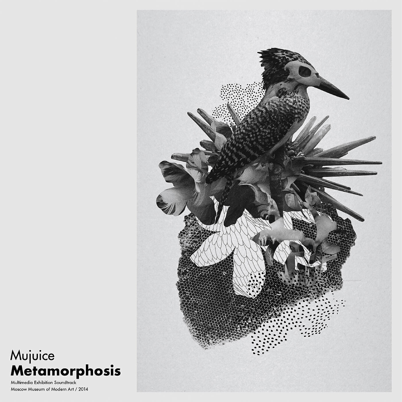 Mujuice - Theory | Practice