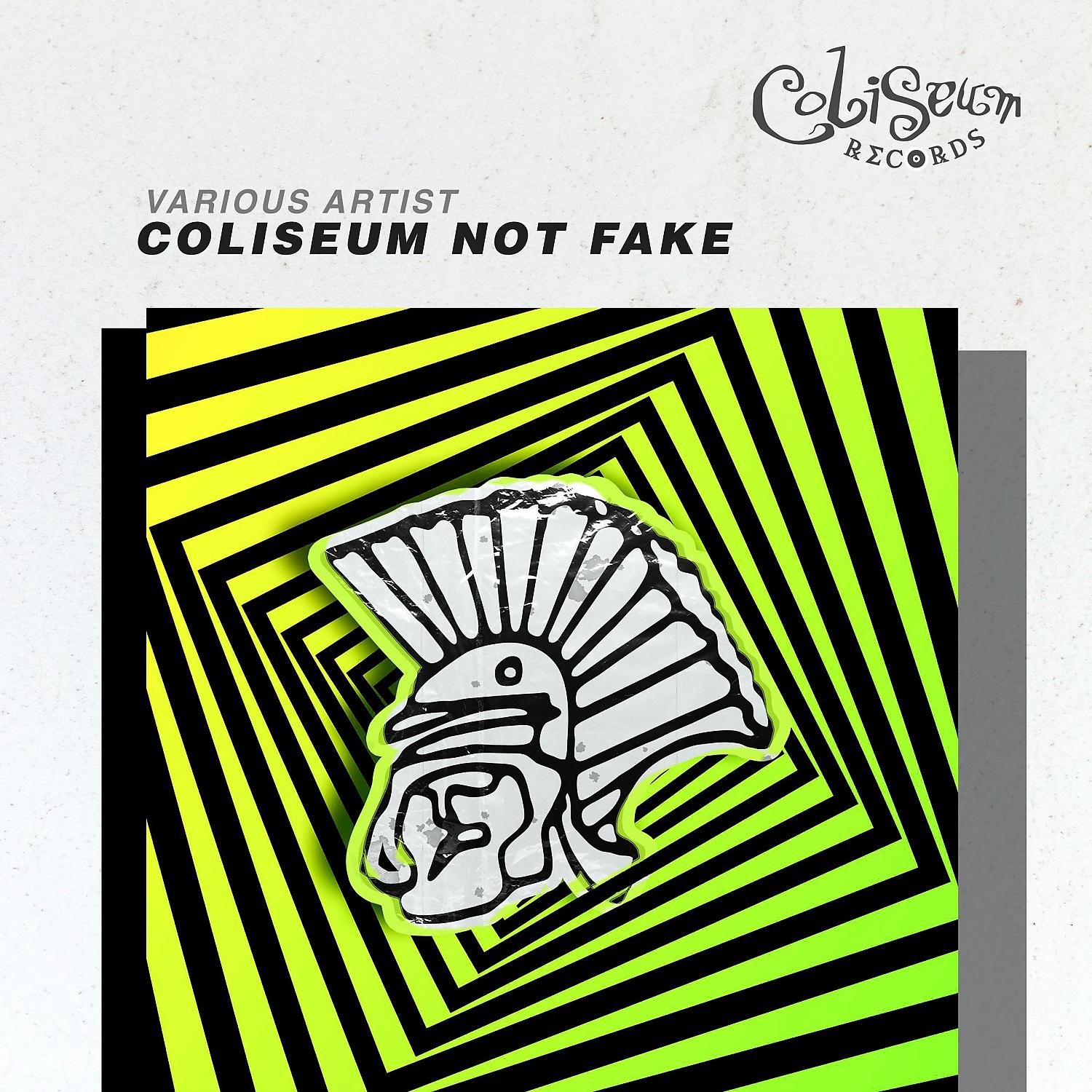 Постер альбома Coliseum Not Fake
