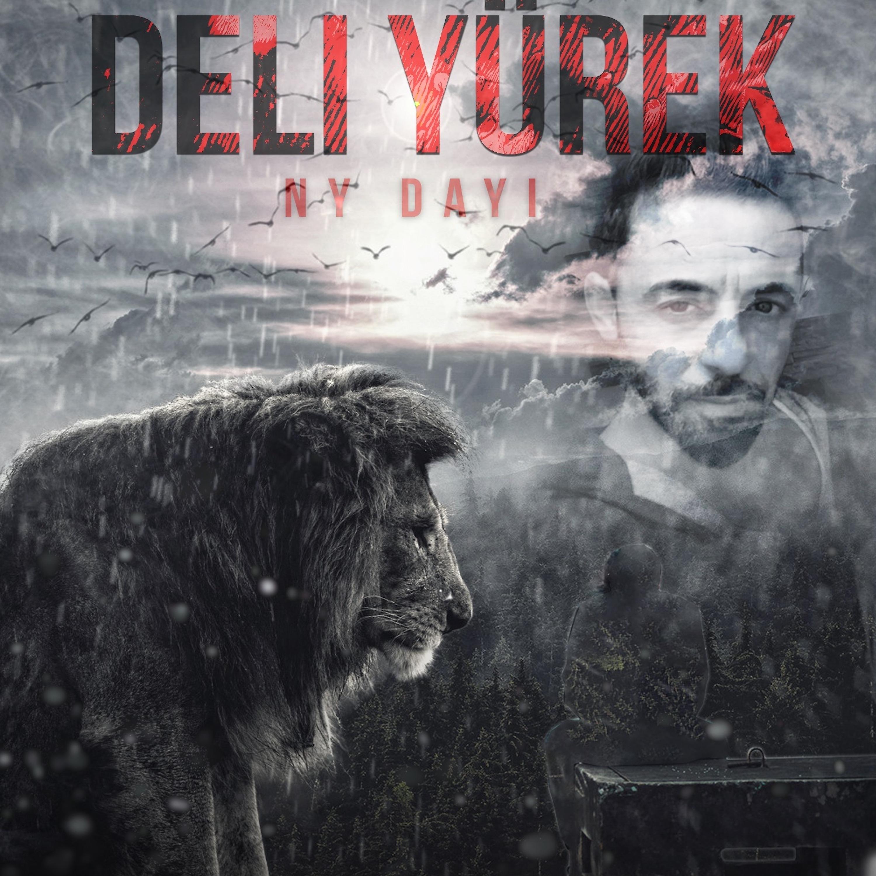 Постер альбома Deli Yürek