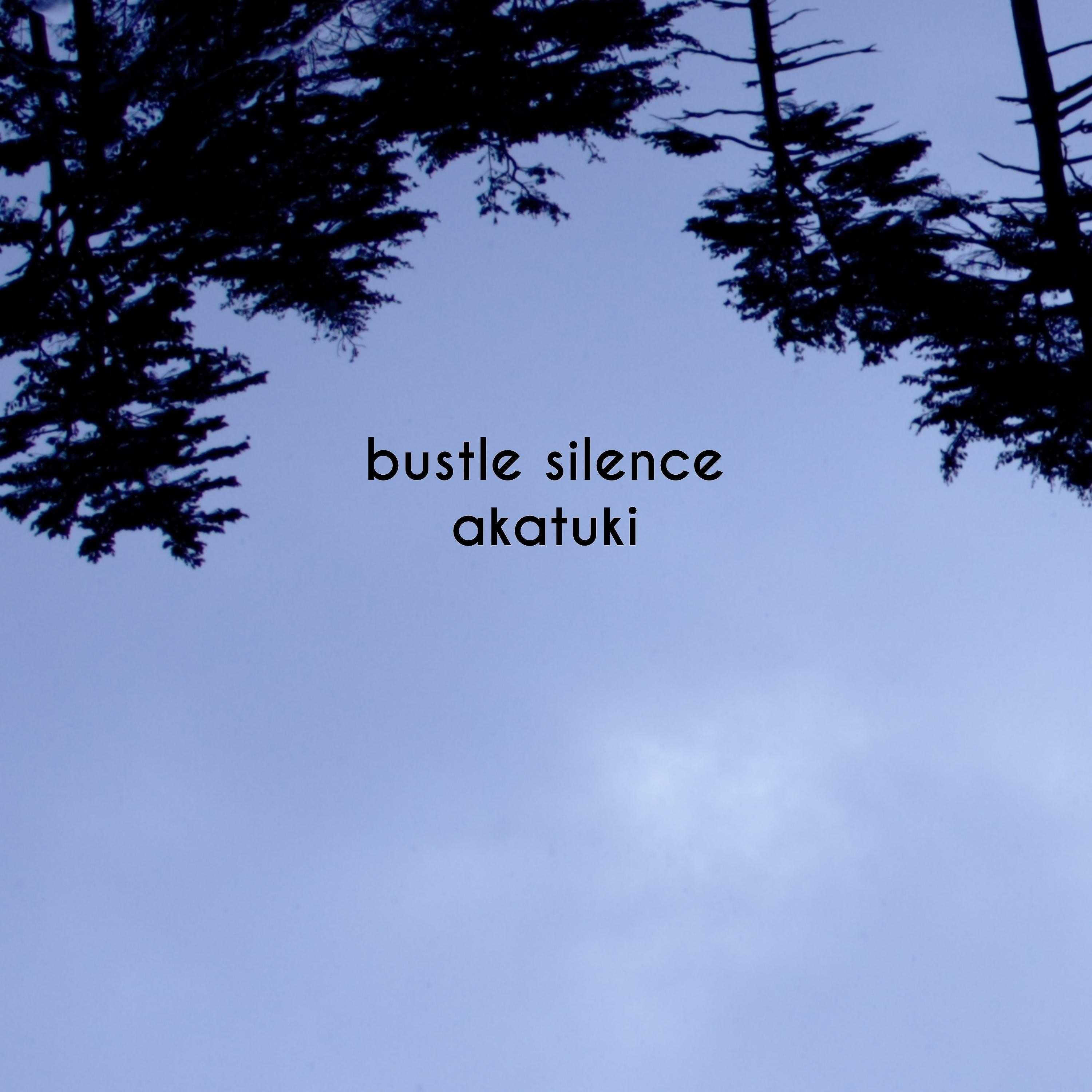Постер альбома Bustle Silence