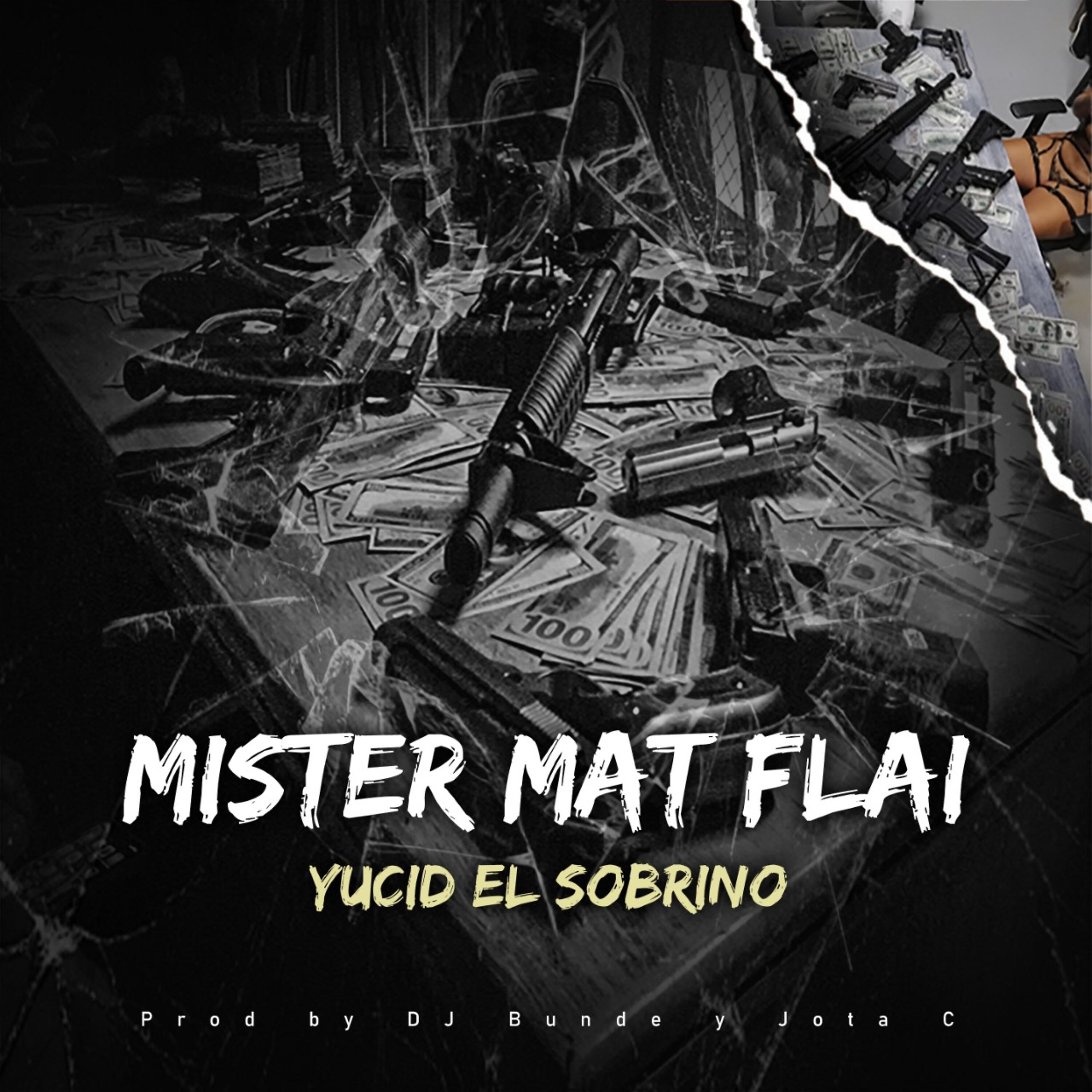 Постер альбома Mister Mat Flai (Versión Urbana)