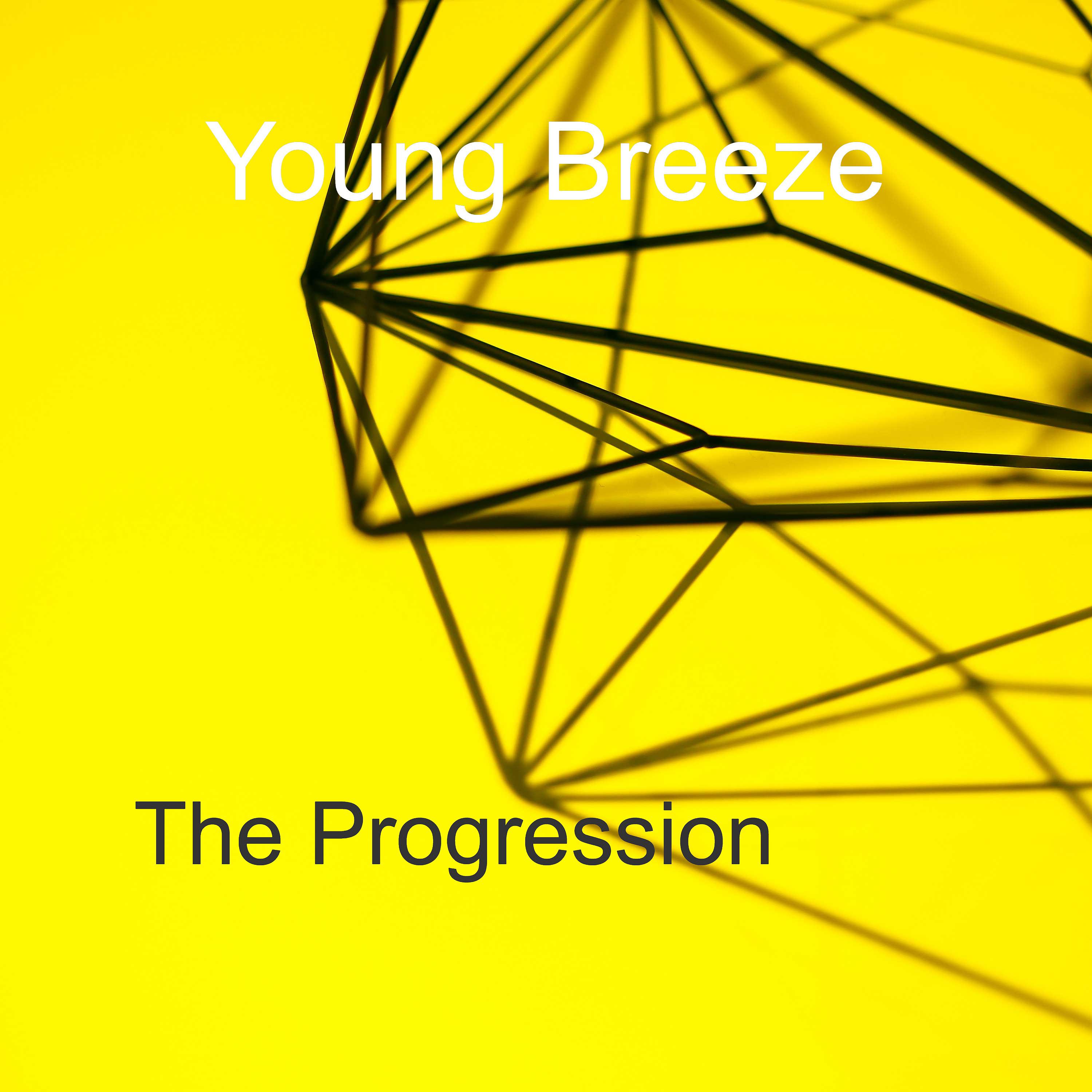Постер альбома The Progression