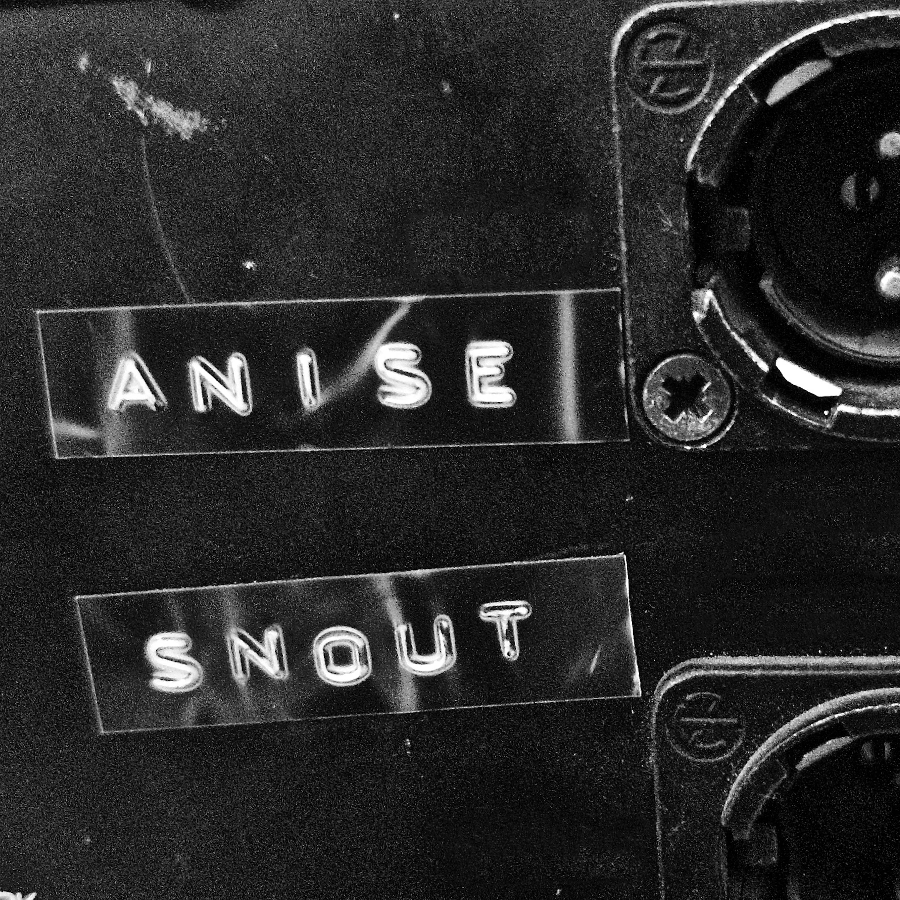 Постер альбома Anise Snout