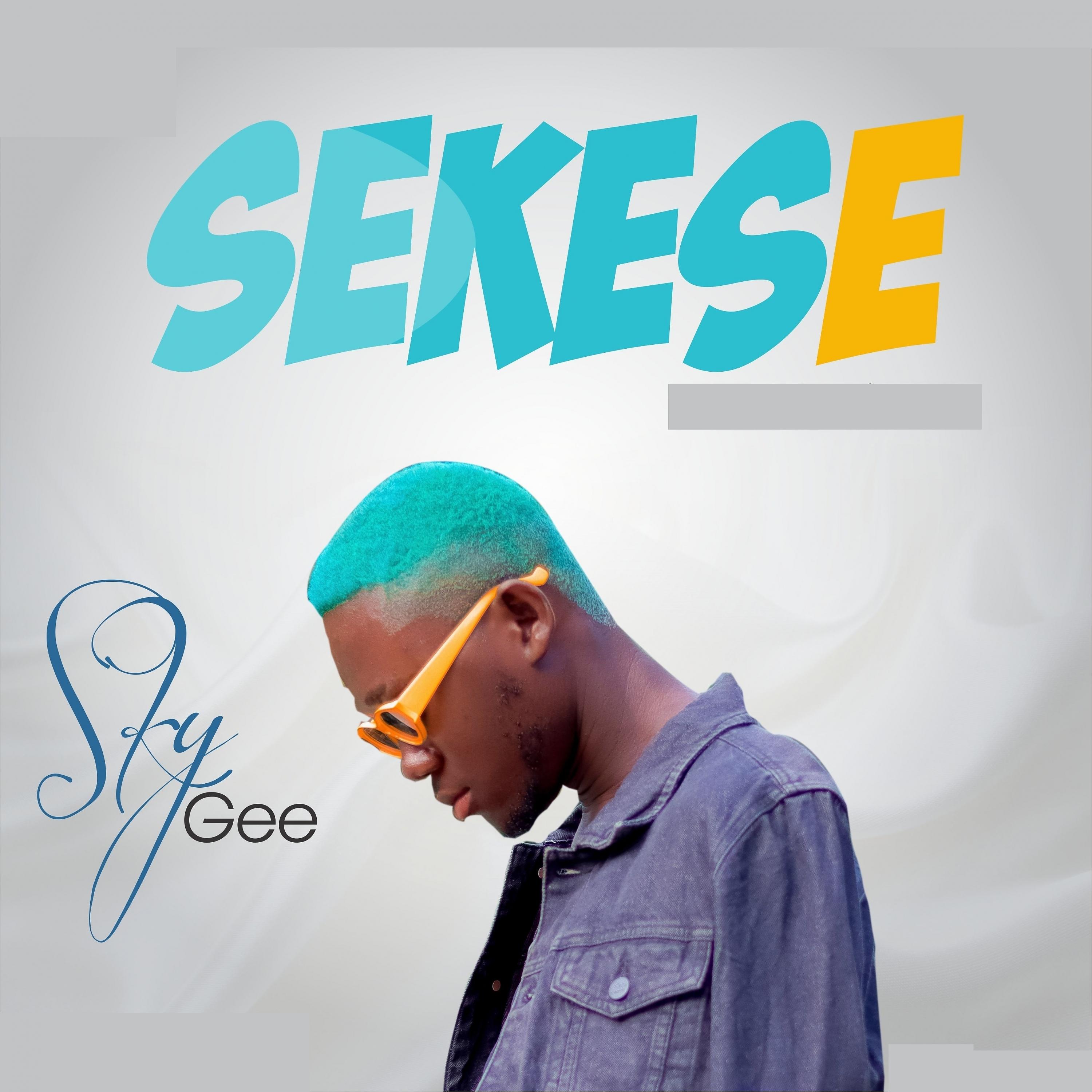 Постер альбома Sekese