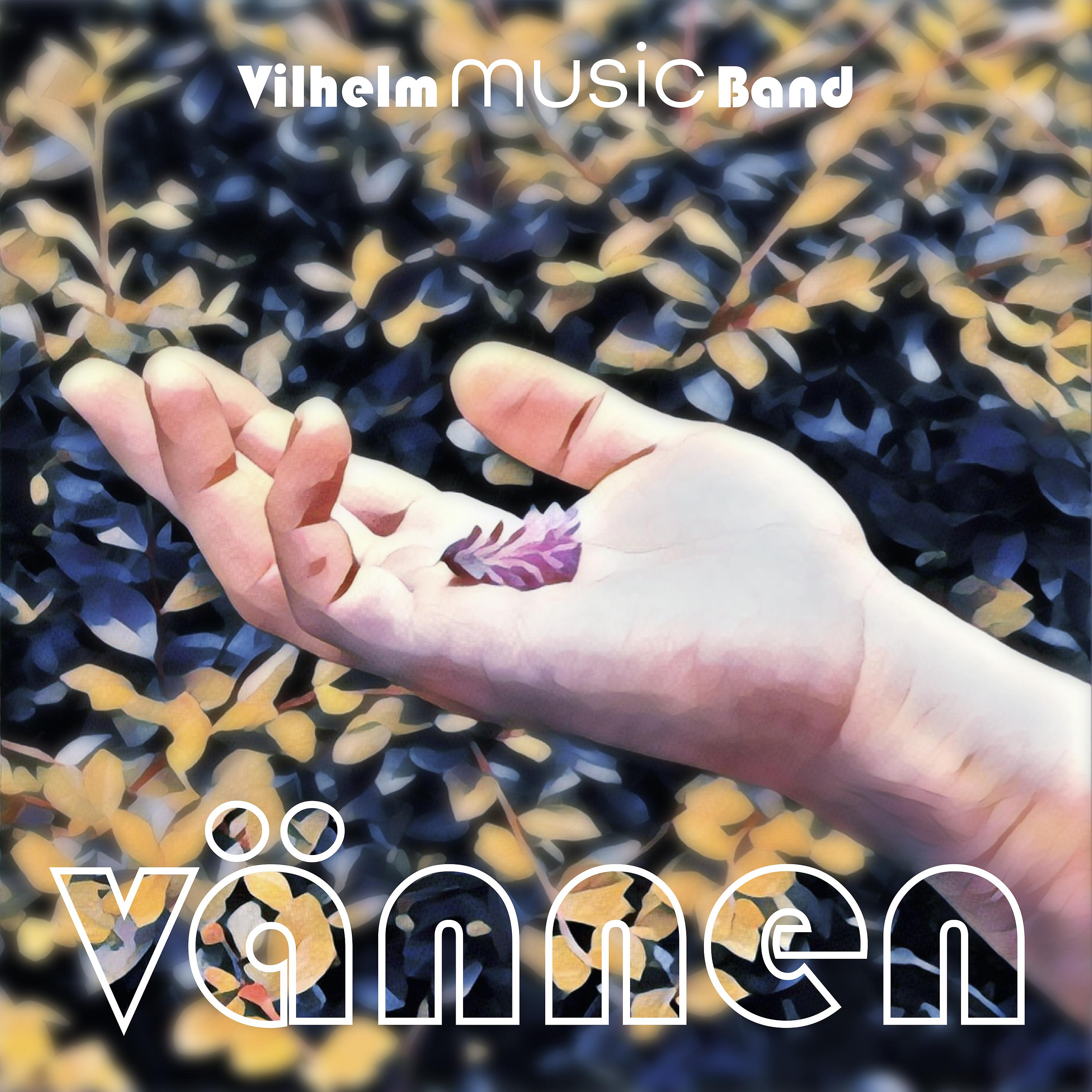 Постер альбома Vännen