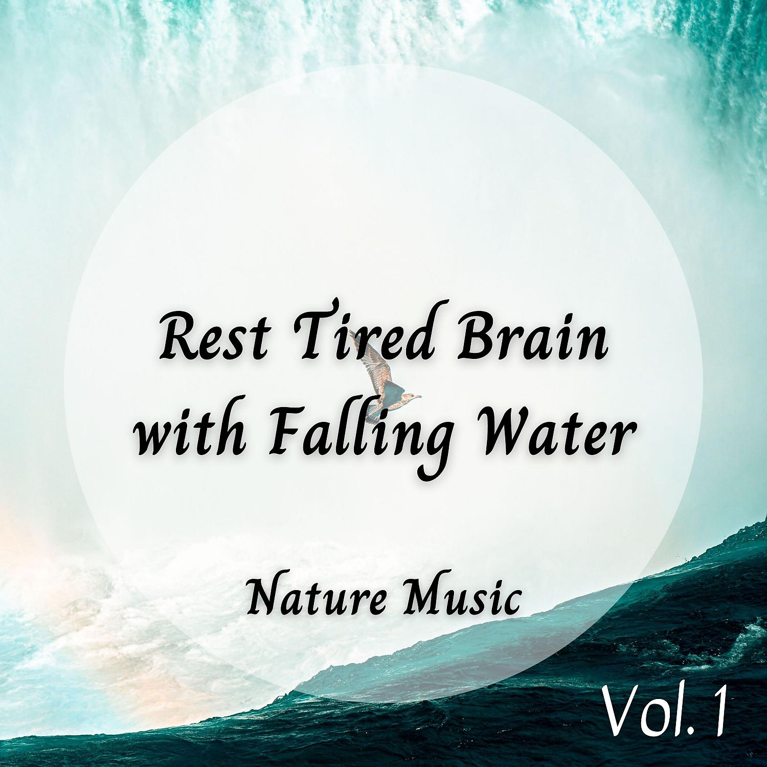 Постер альбома Meditation Music: Rest Tired Brain with Falling Water Vol. 1