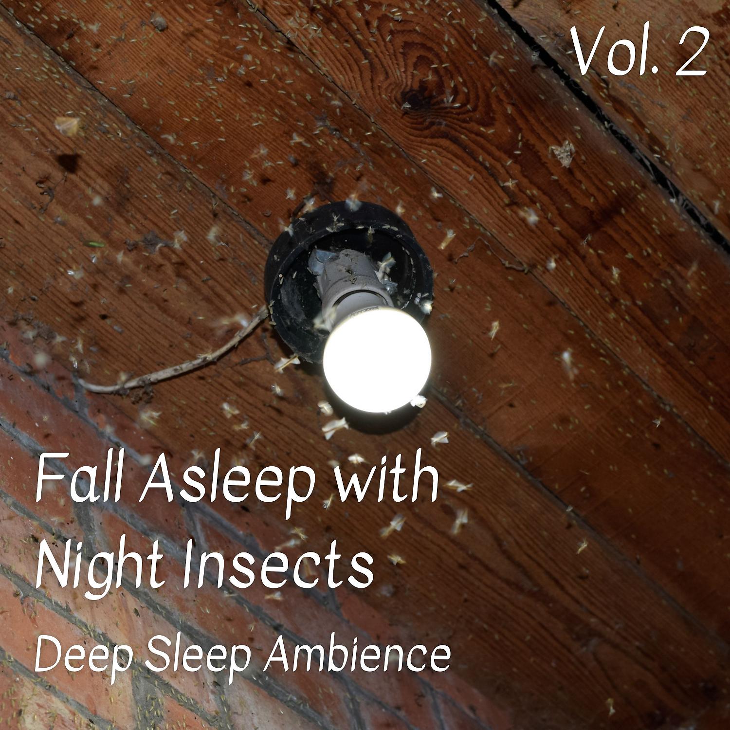 Постер альбома Deep Sleep Ambience: Fall Asleep with Night Insects Vol. 1