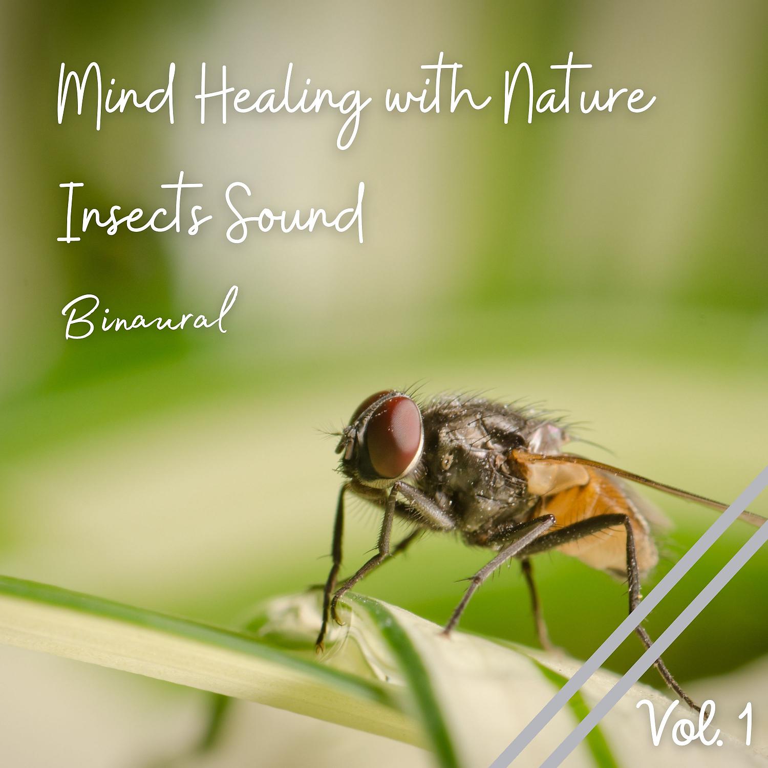 Постер альбома Binaural: Mind Healing with Nature Insects Sound Vol. 1