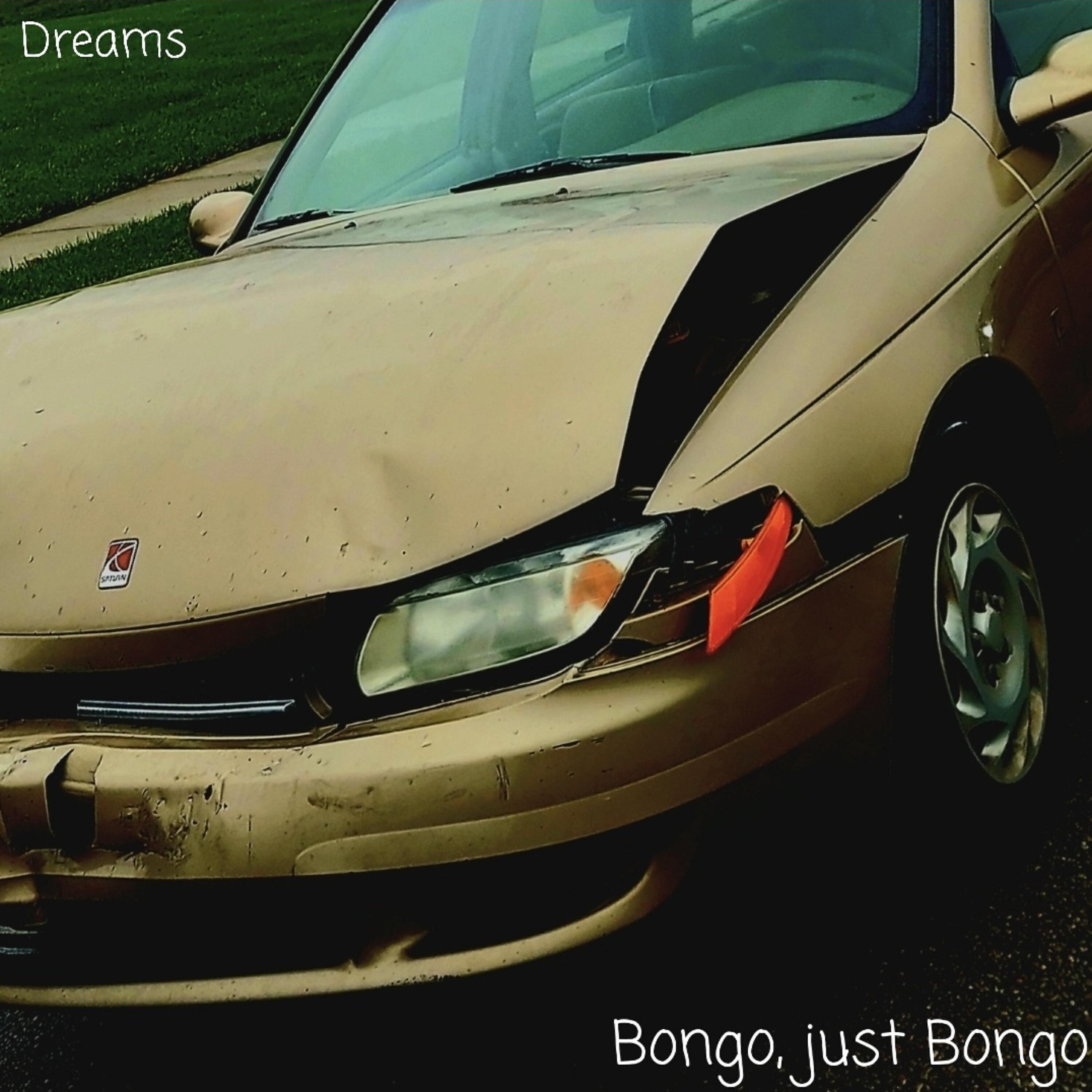 Bongo, just Bongo - Dreams