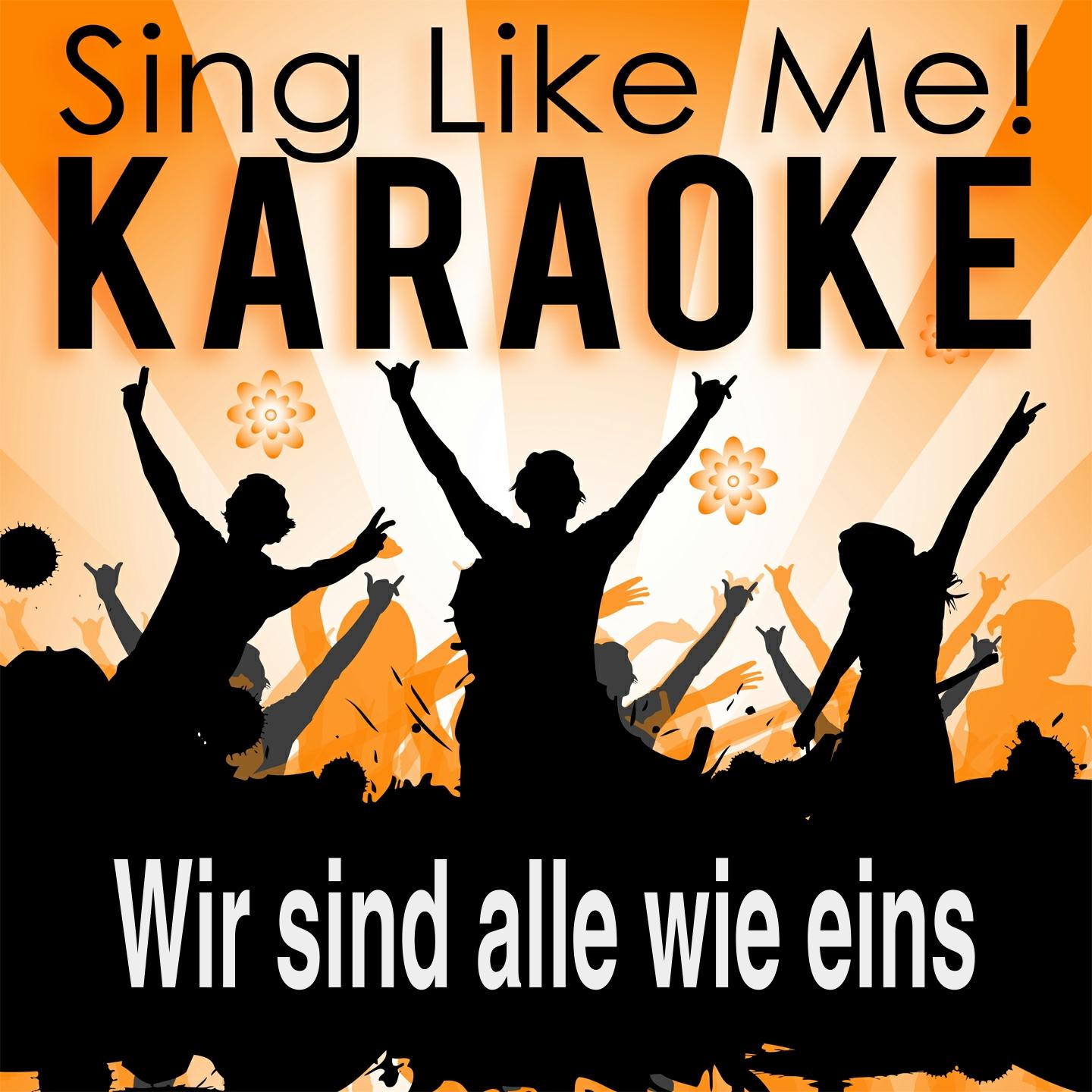 Постер альбома Wir sind alle wie eins (Karaoke Version)