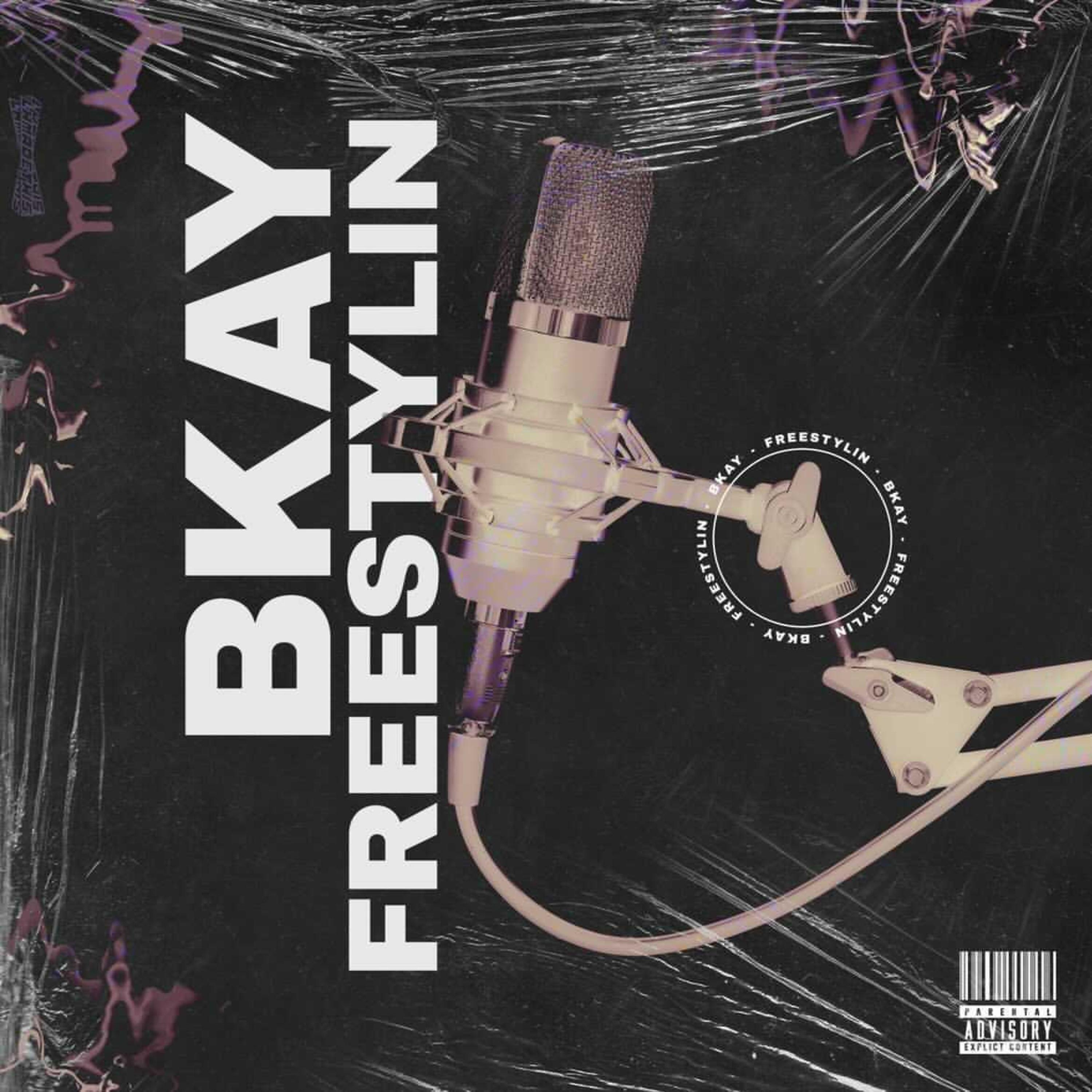 Постер альбома Freestylin