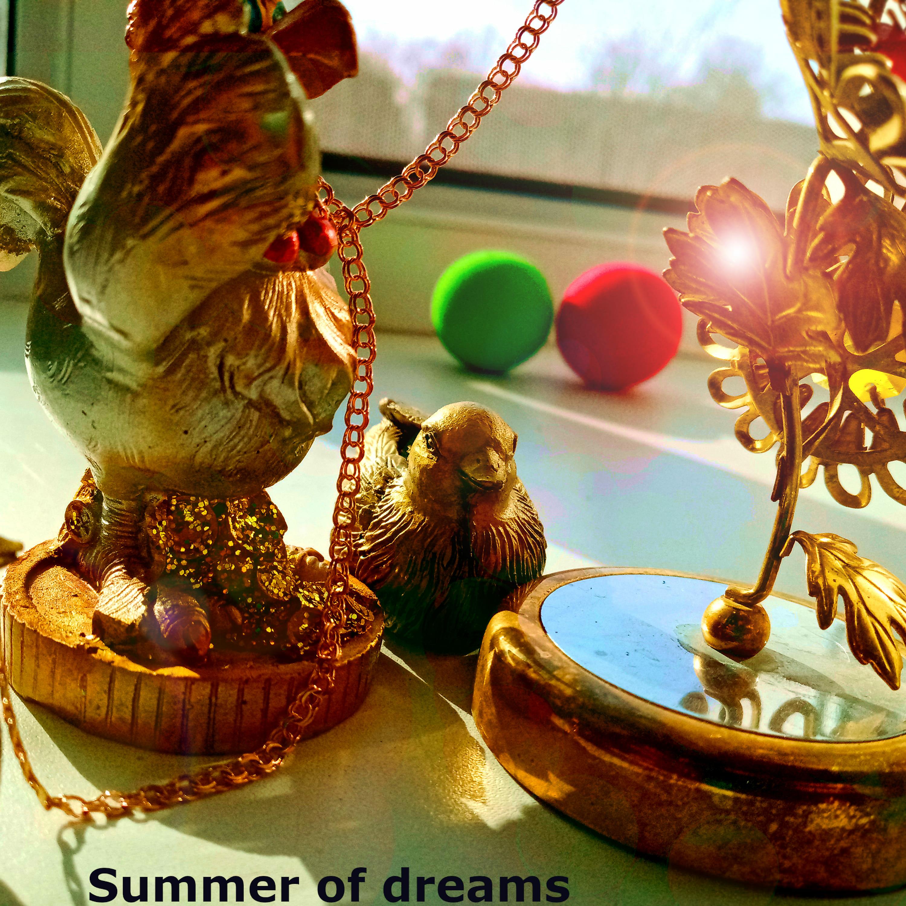 Постер альбома Summer of Dreams