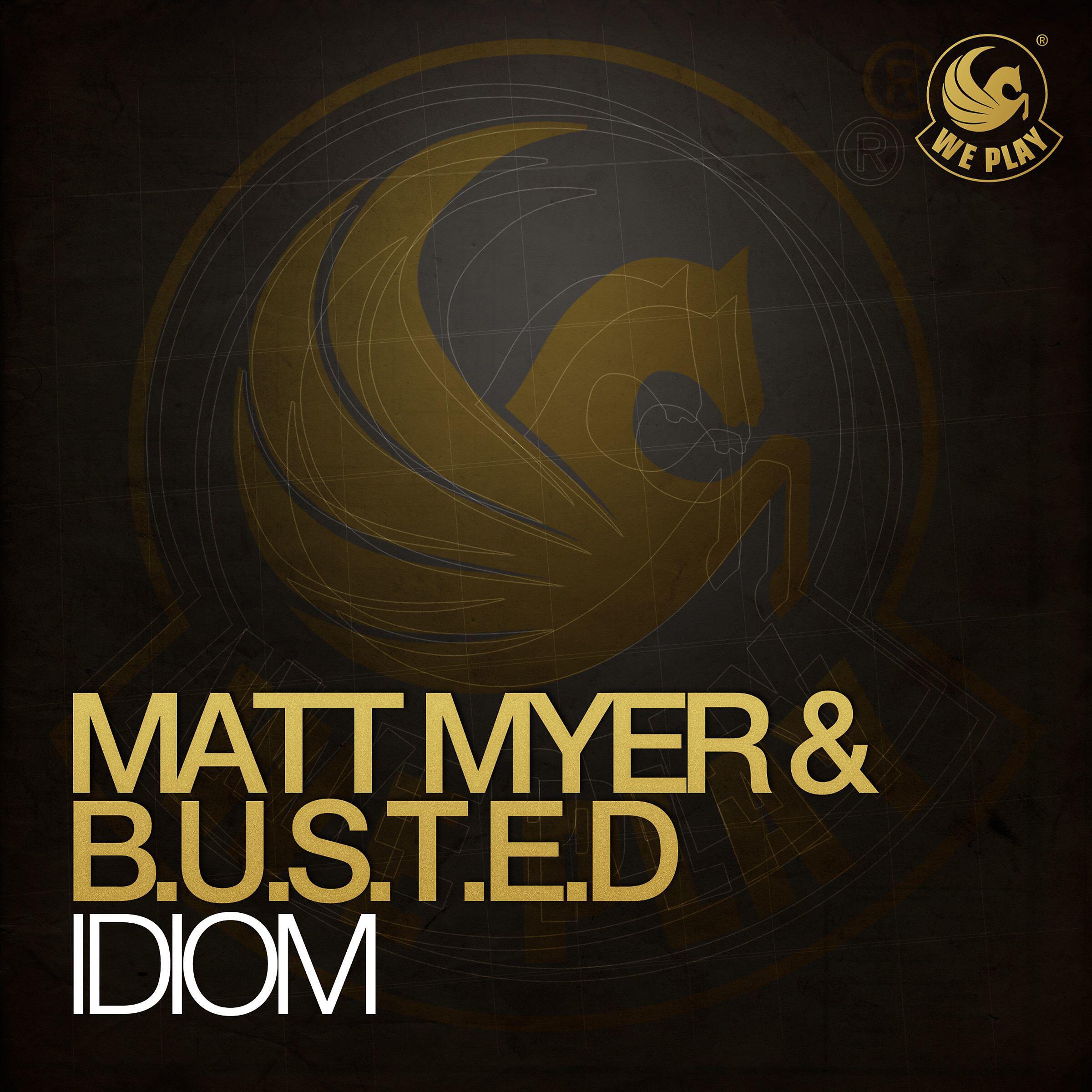 Matt Myer - Idiom (Original Mix)