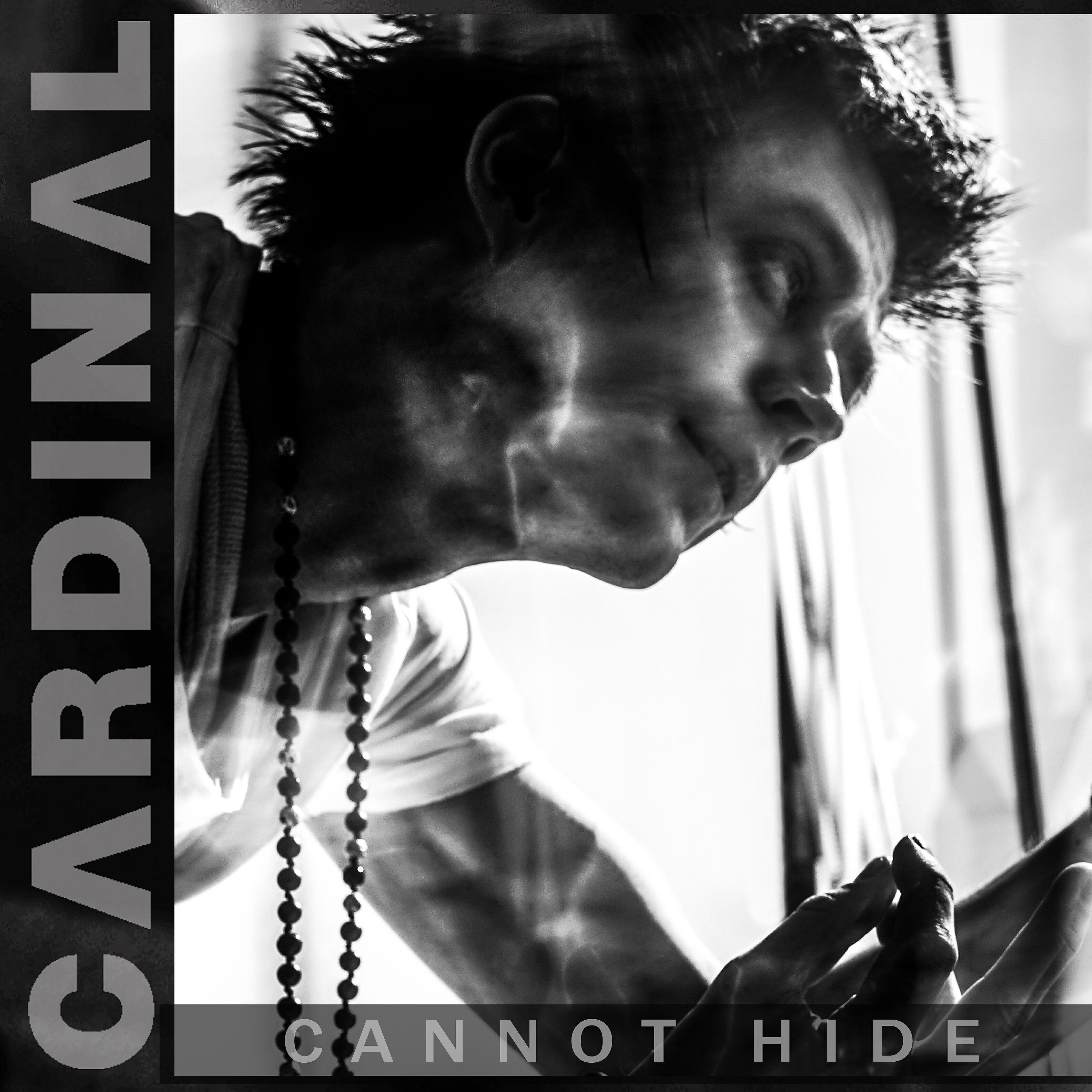 Cardinal - Violence Without Victims