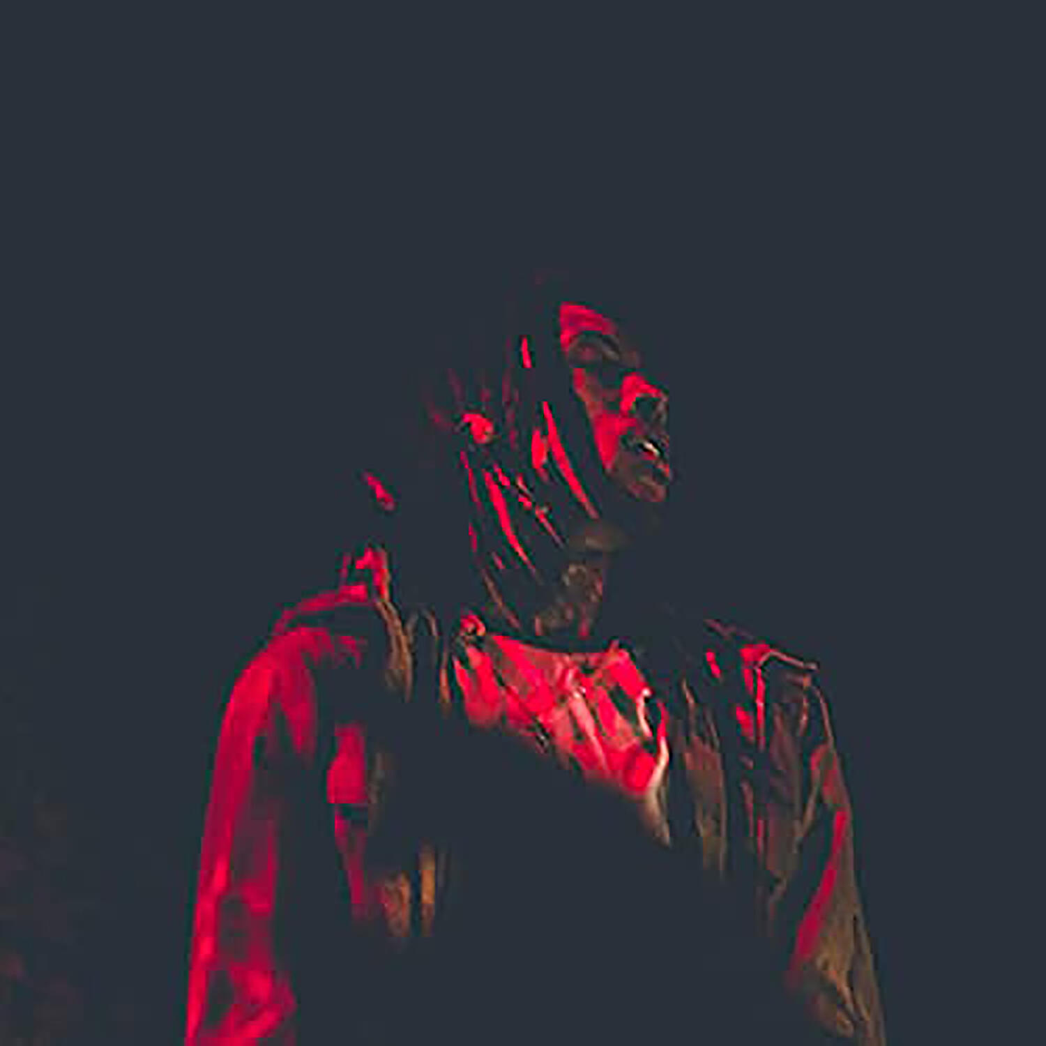 Chris Travis - The Chills