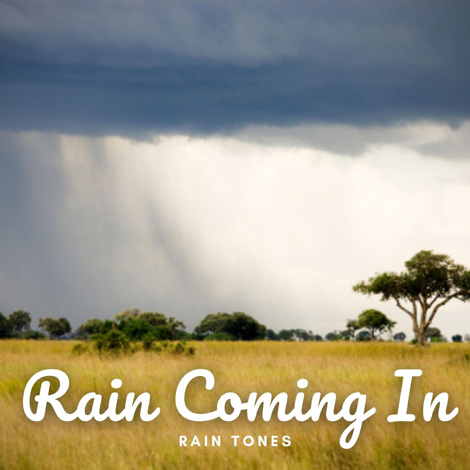 ASMR Rain Sounds - Rain Mantra