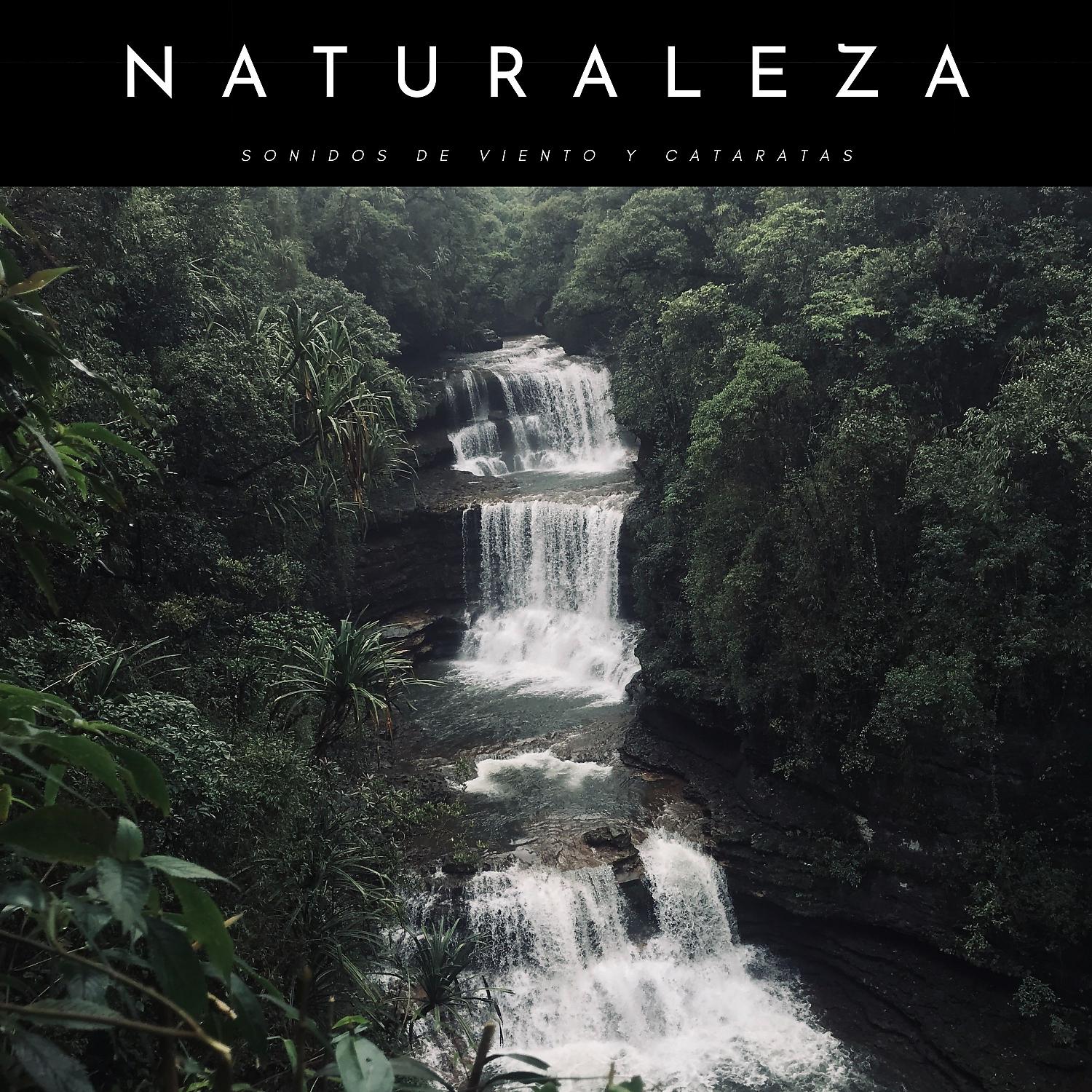 Постер альбома Naturaleza: Sonidos De Viento Y Cataratas