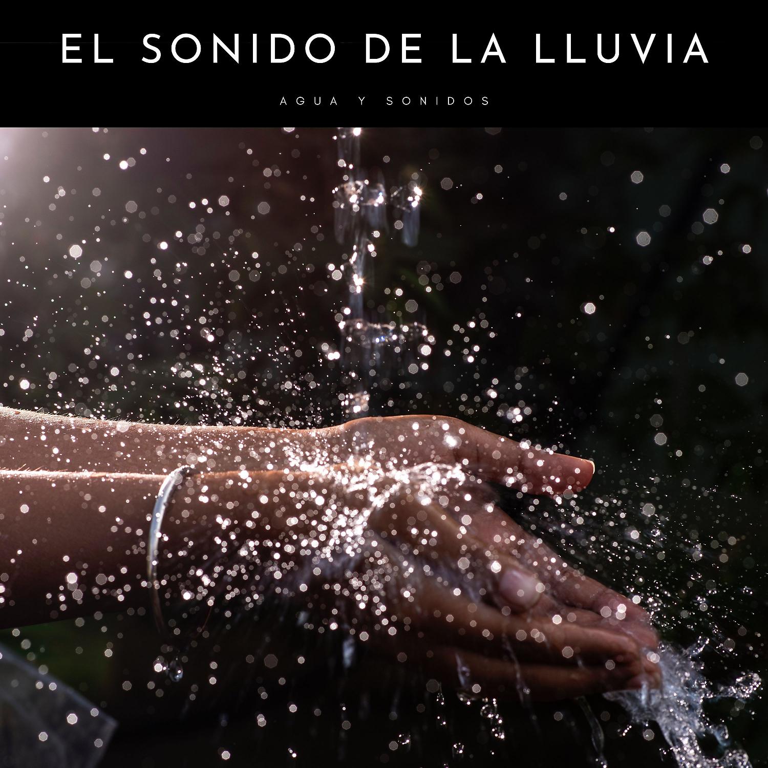 Постер альбома El Sonido De La Lluvia: Agua Y Sonidos