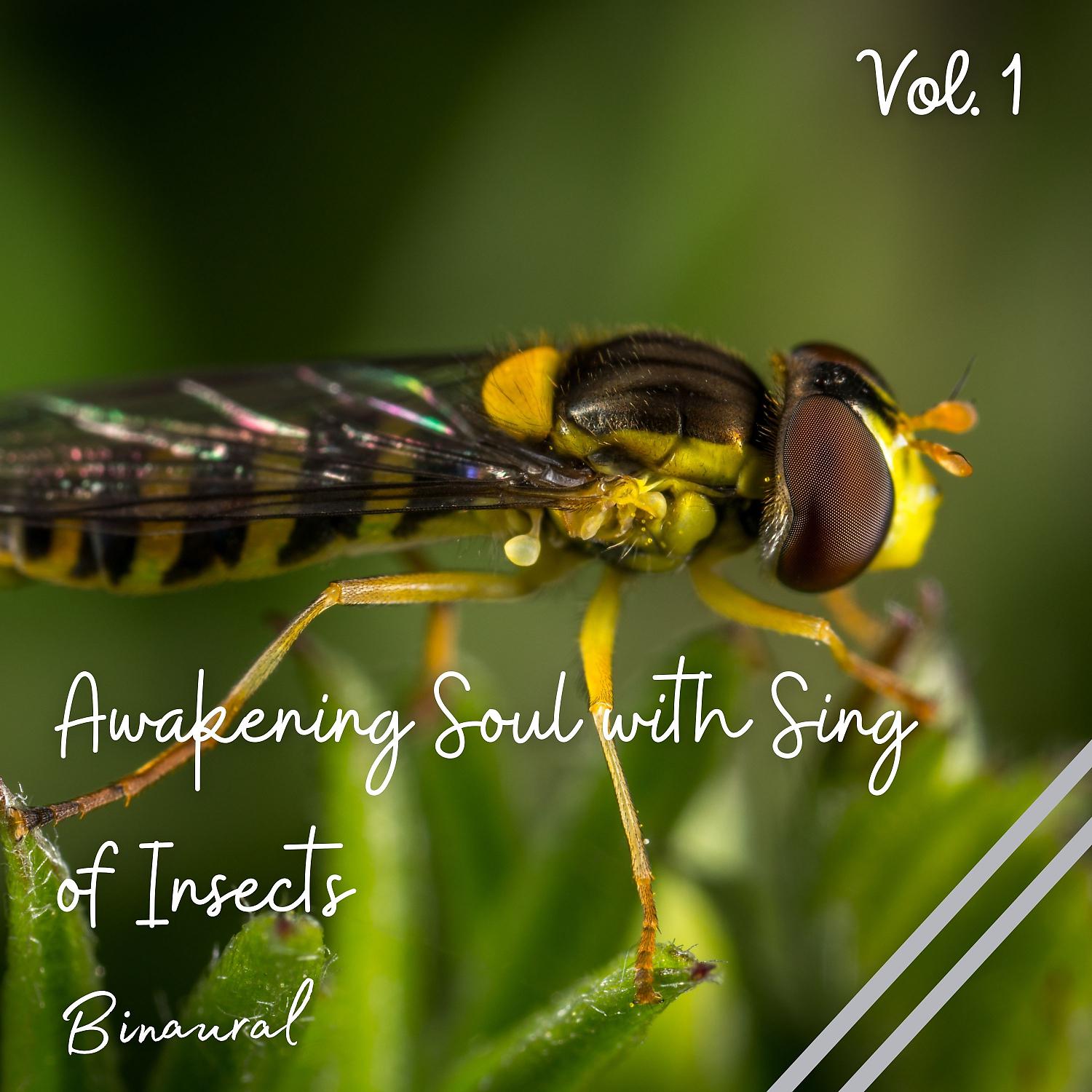 Постер альбома Binaural: Awakening Soul with Sing of Insects Vol. 1