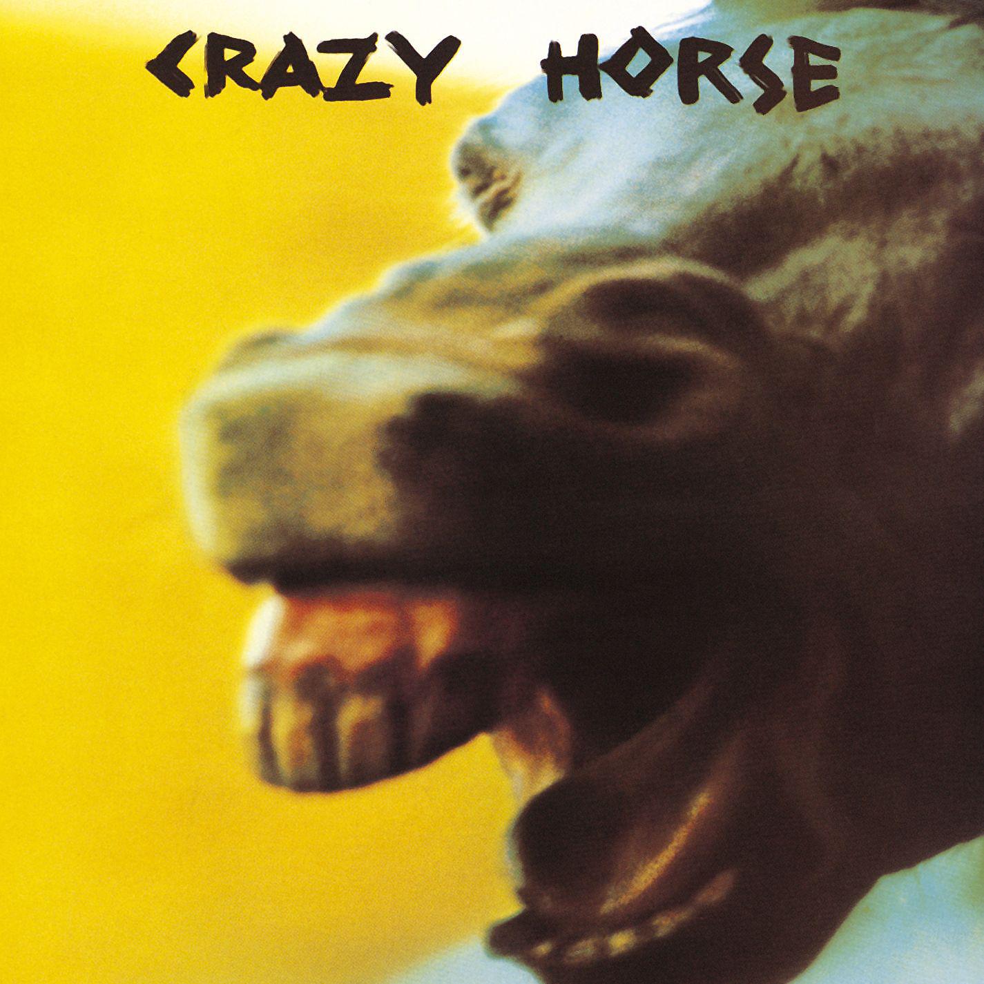 Постер альбома Crazy Horse