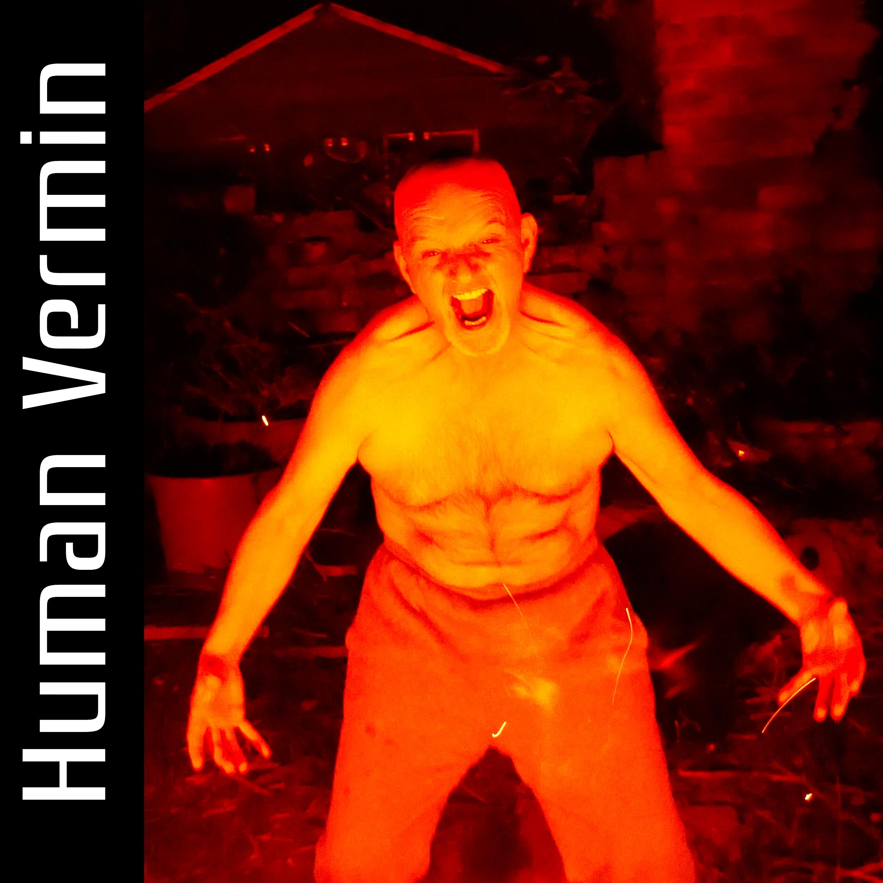 Постер альбома Human Vermin