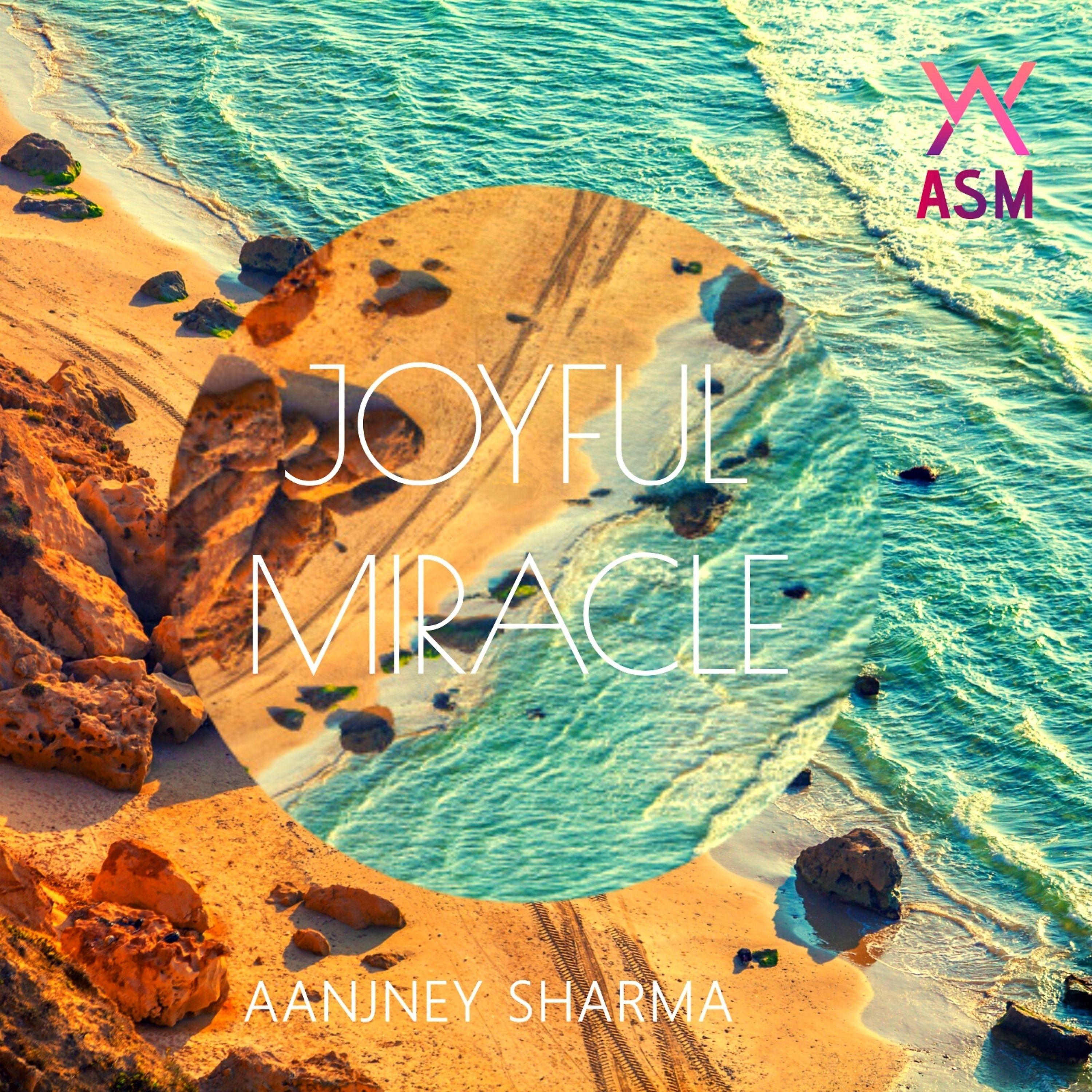 Постер альбома Joyful Miracle