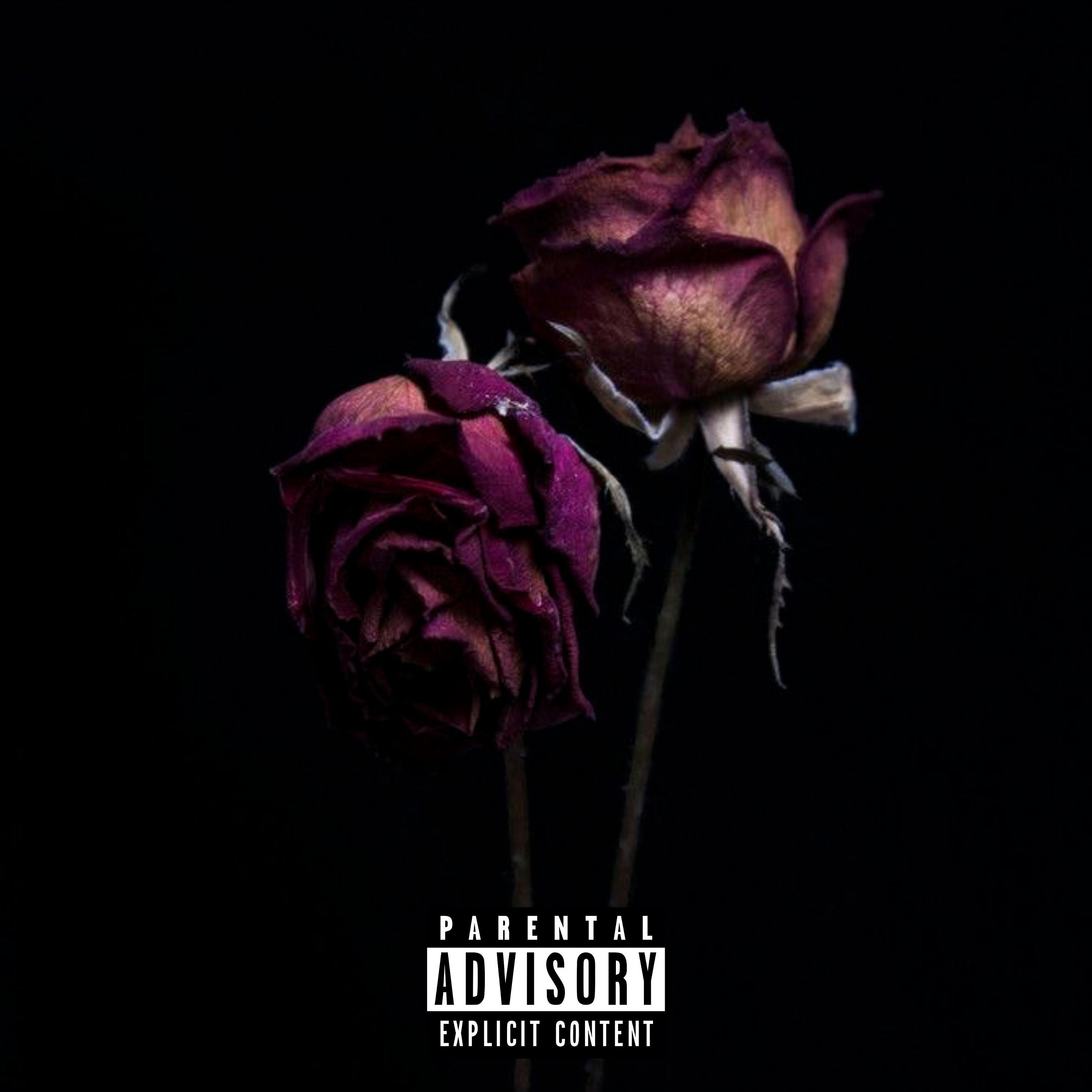 Постер альбома Death to Roses