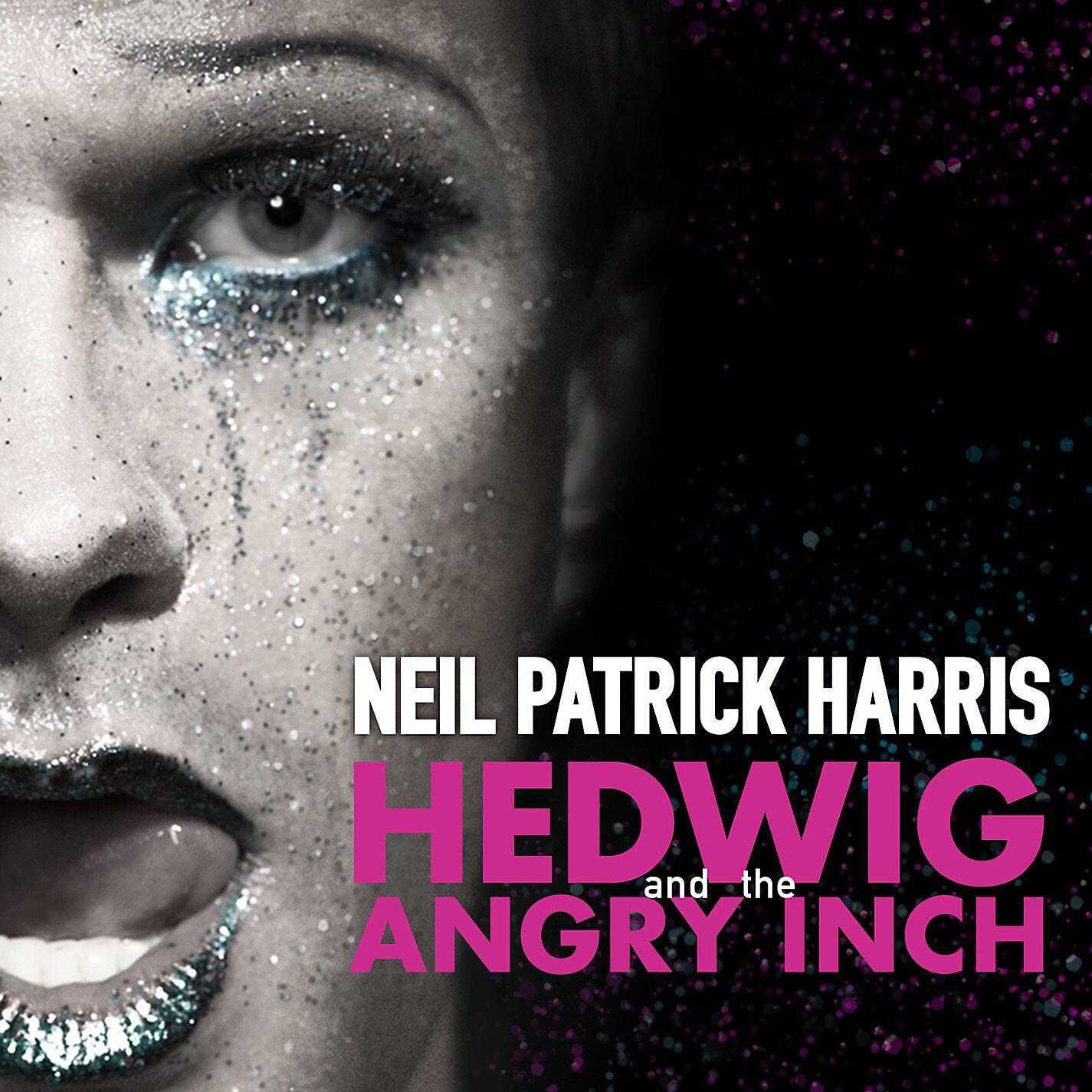 Hedwig And The Angry Inch - Original Broadway Cast - Wig In A Box