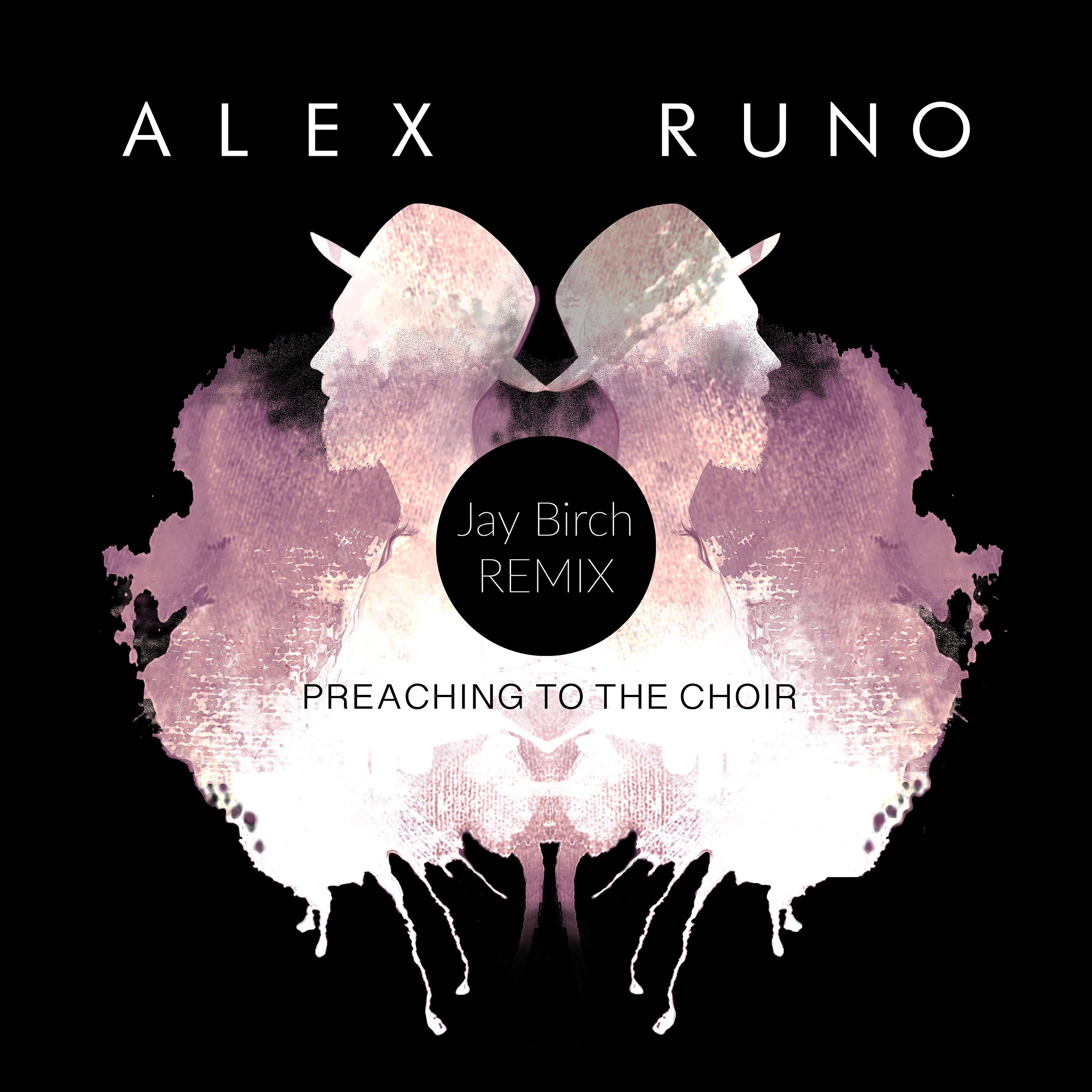 Постер альбома Preaching to the Choir (Jay Birch Remix)