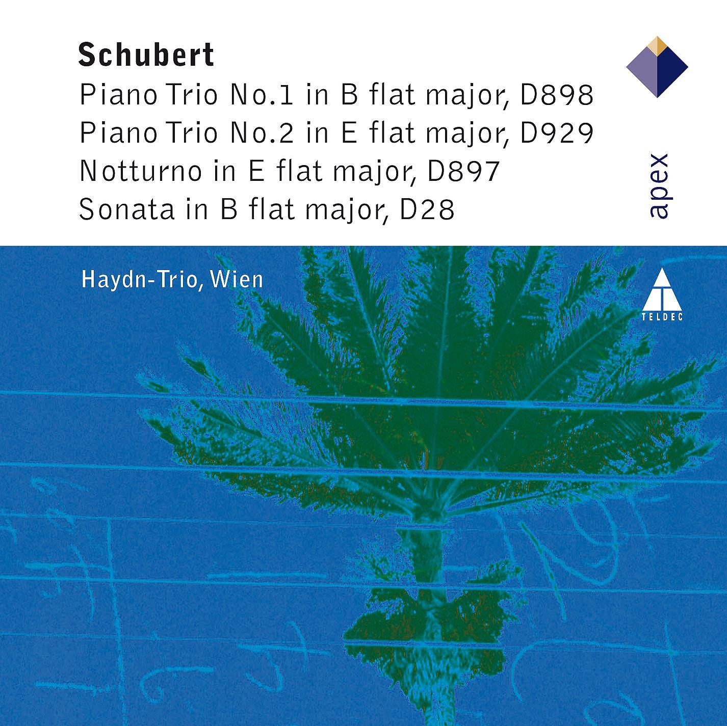 Постер альбома Schubert : The Piano Trios