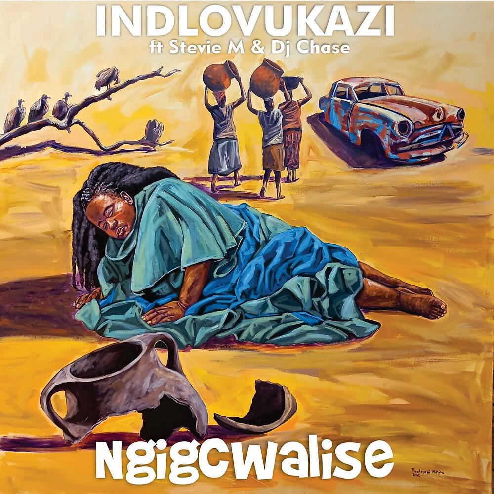 Постер альбома Ngigcwalise