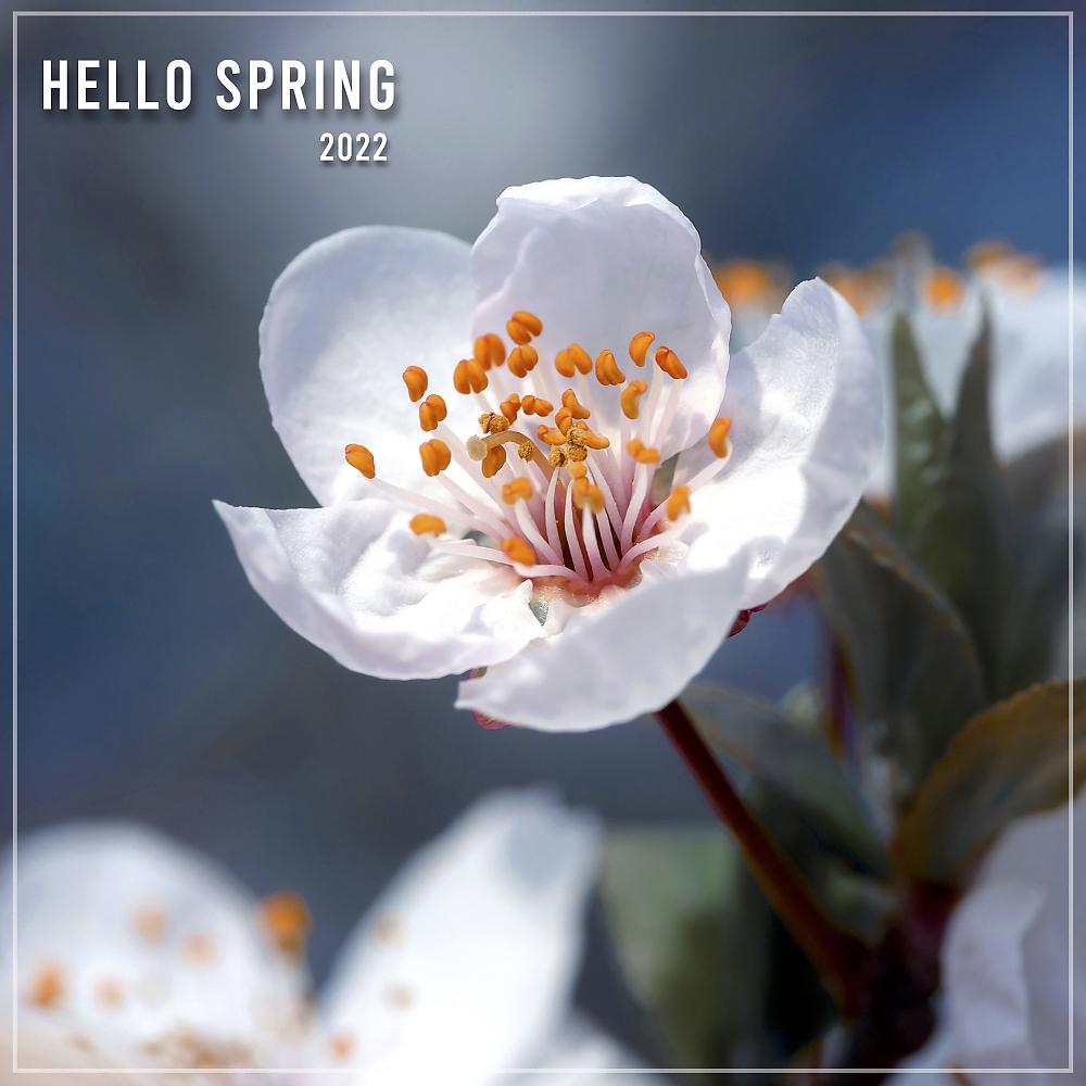 Постер альбома Hello Spring 2022