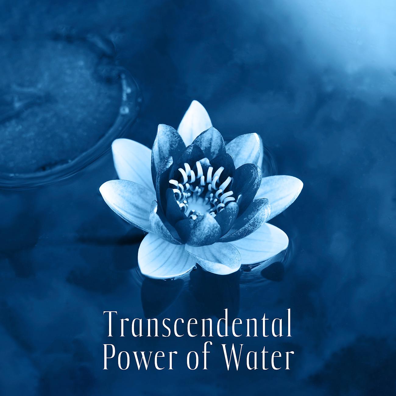 Постер альбома Transcendental Power of Water